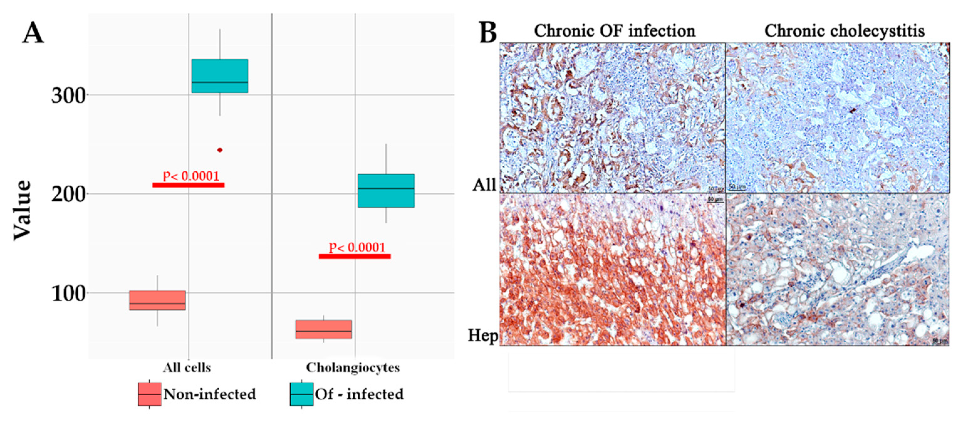 Tropicalmed 07 00364 g006 Tropicalmed 07 00364 g006