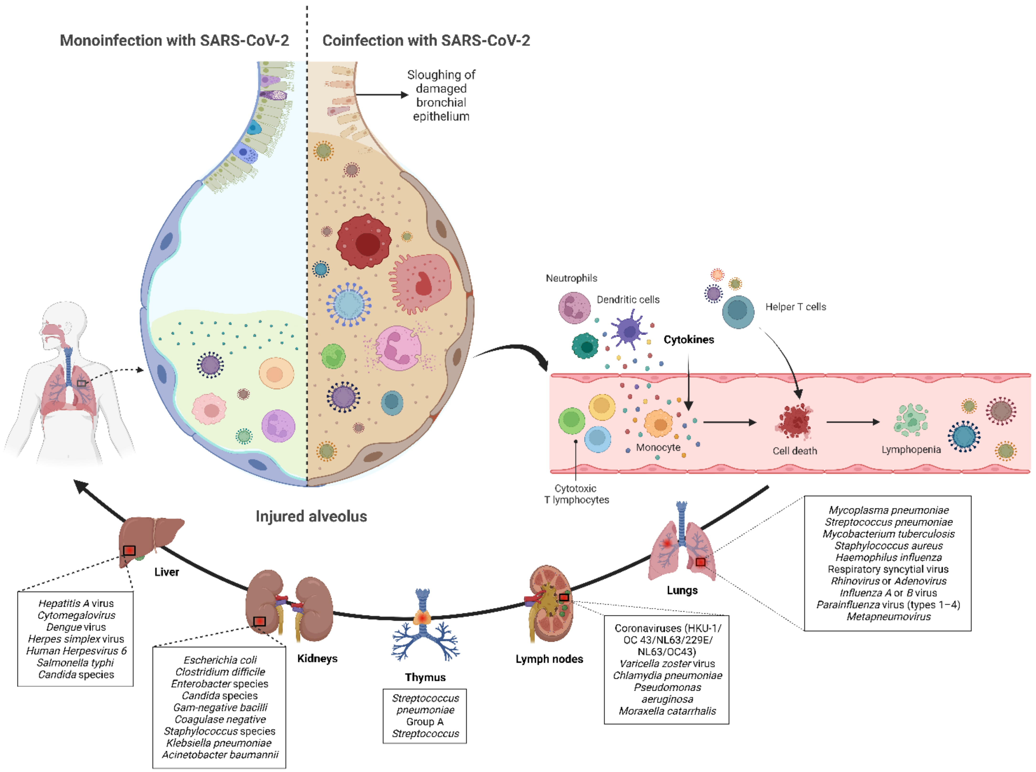 Tropicalmed 07 00380 g001