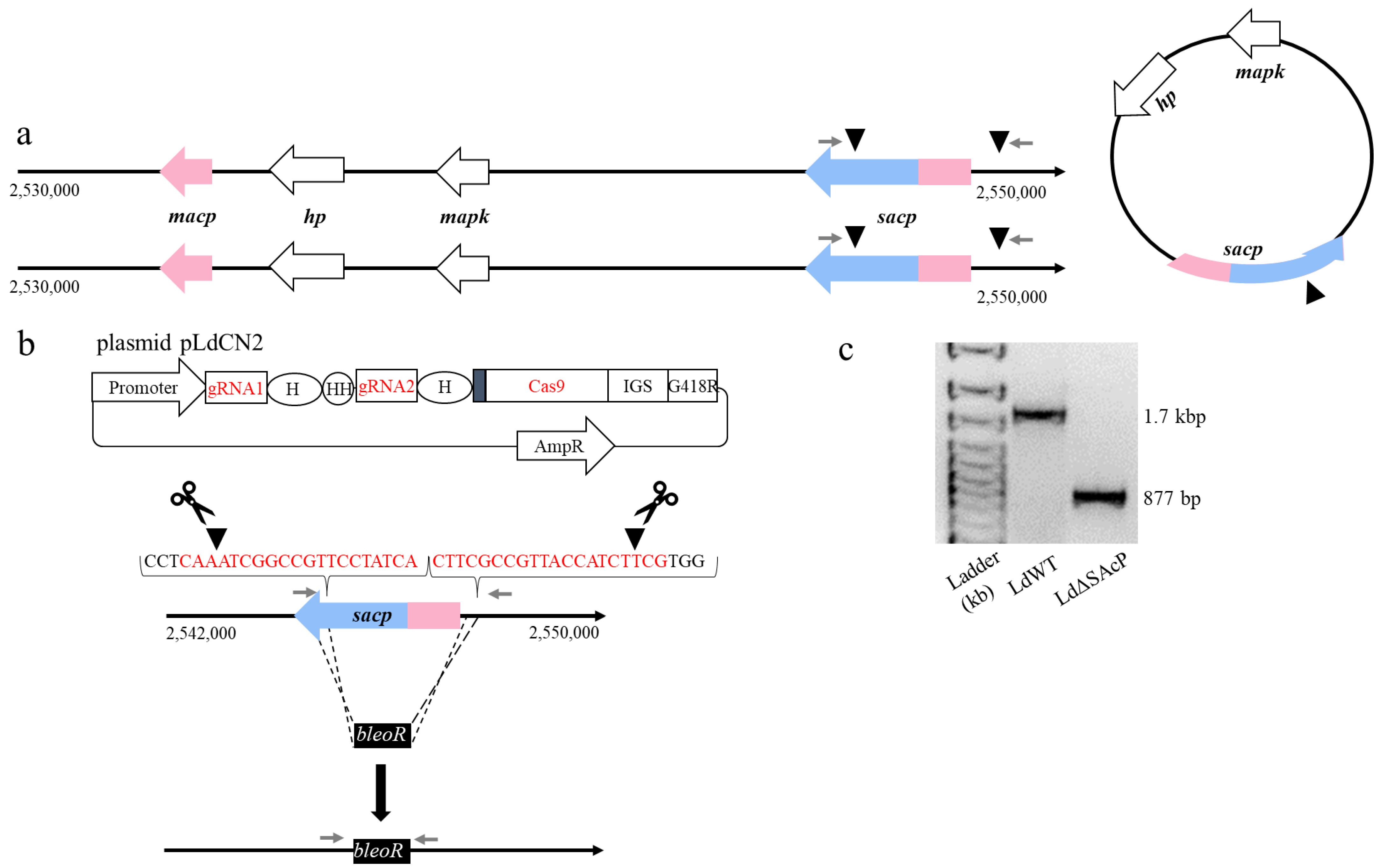 Tropicalmed 07 00384 g002 Tropicalmed 07 00384 g002