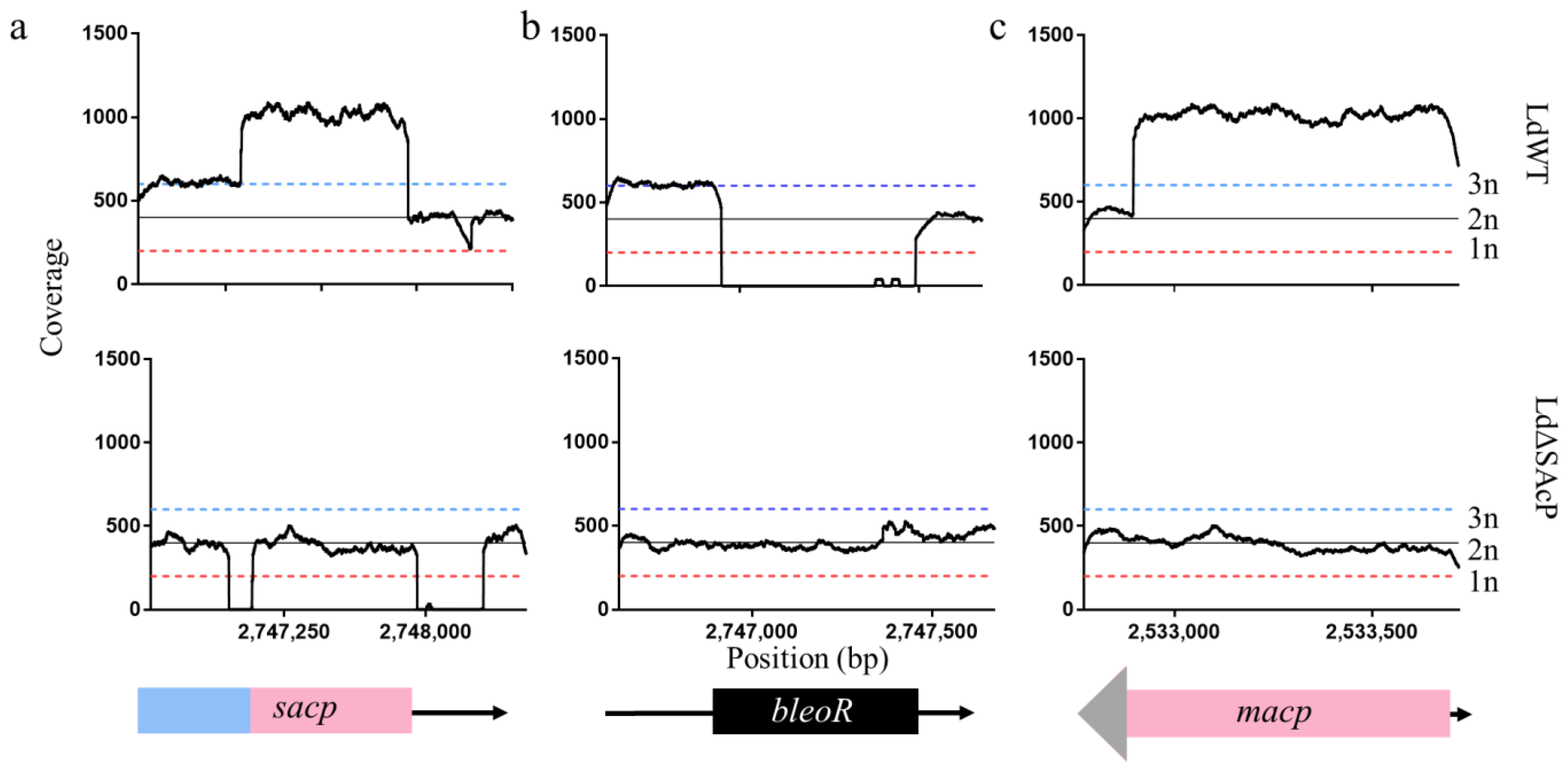 Tropicalmed 07 00384 g004 Tropicalmed 07 00384 g004