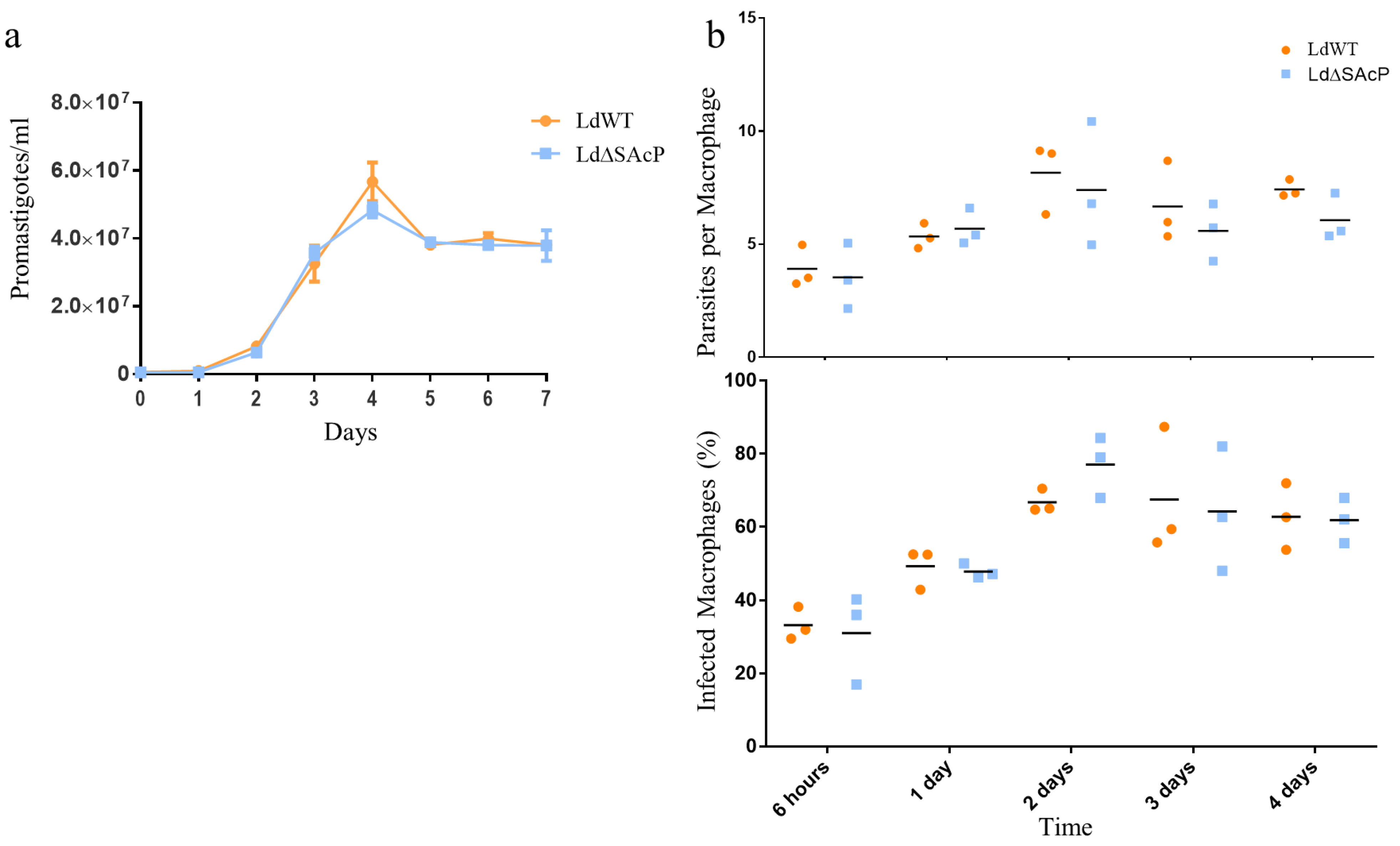 Tropicalmed 07 00384 g006 Tropicalmed 07 00384 g006