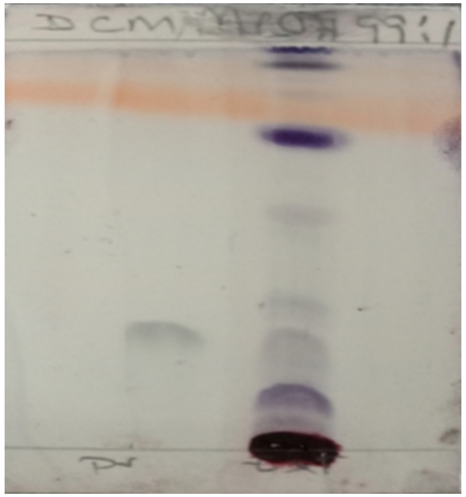 Tropicalmed 07 00396 g002 Tropicalmed 07 00396 g002