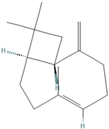 Tropicalmed 07 00400 i004 Tropicalmed 07 00400 i004