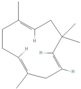 Tropicalmed 07 00400 i006 Tropicalmed 07 00400 i006