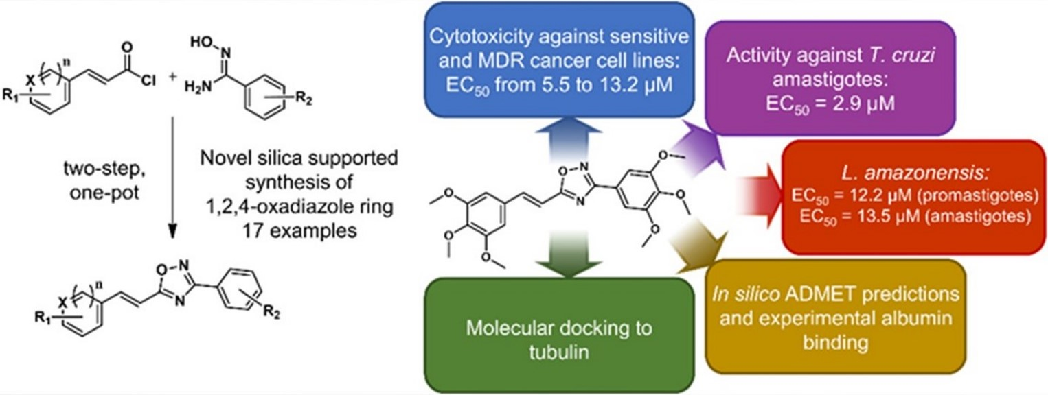 TropicalMed | Free Full-Text | A Novel Protocol for the Synthesis of 1 ...