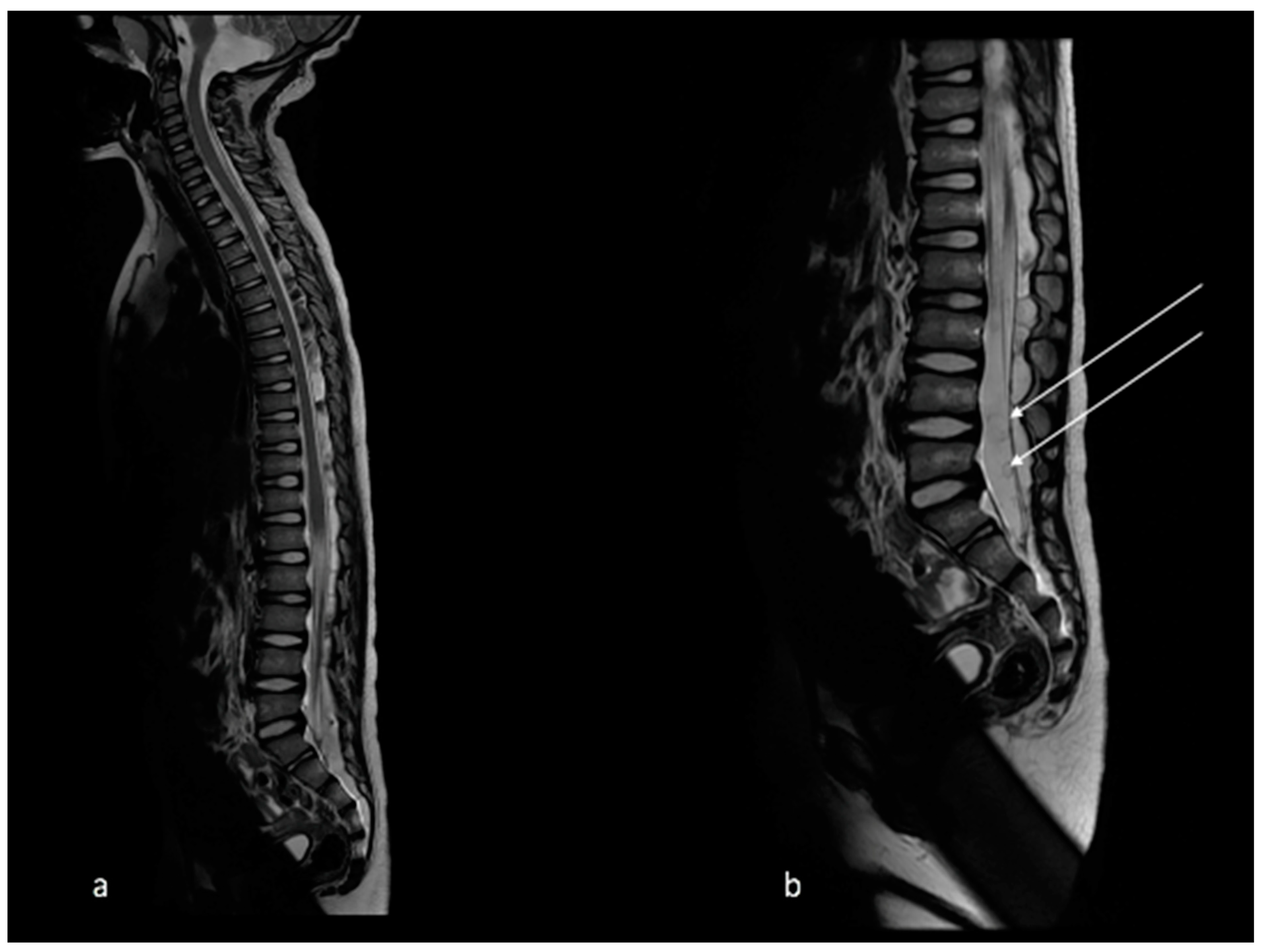 Tropicalmed 07 00405 g002 Tropicalmed 07 00405 g002