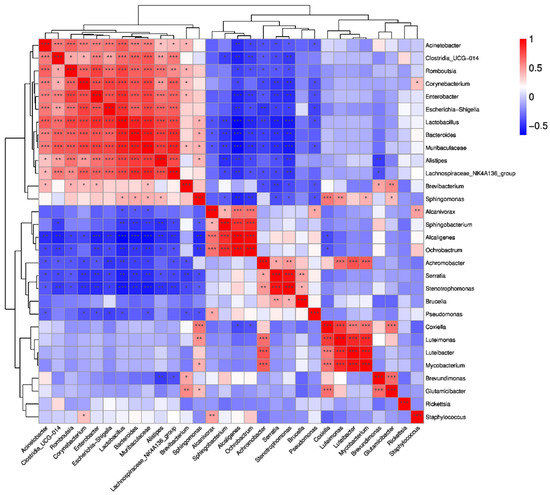 Identification of Bacterial Communities and Tick-Borne