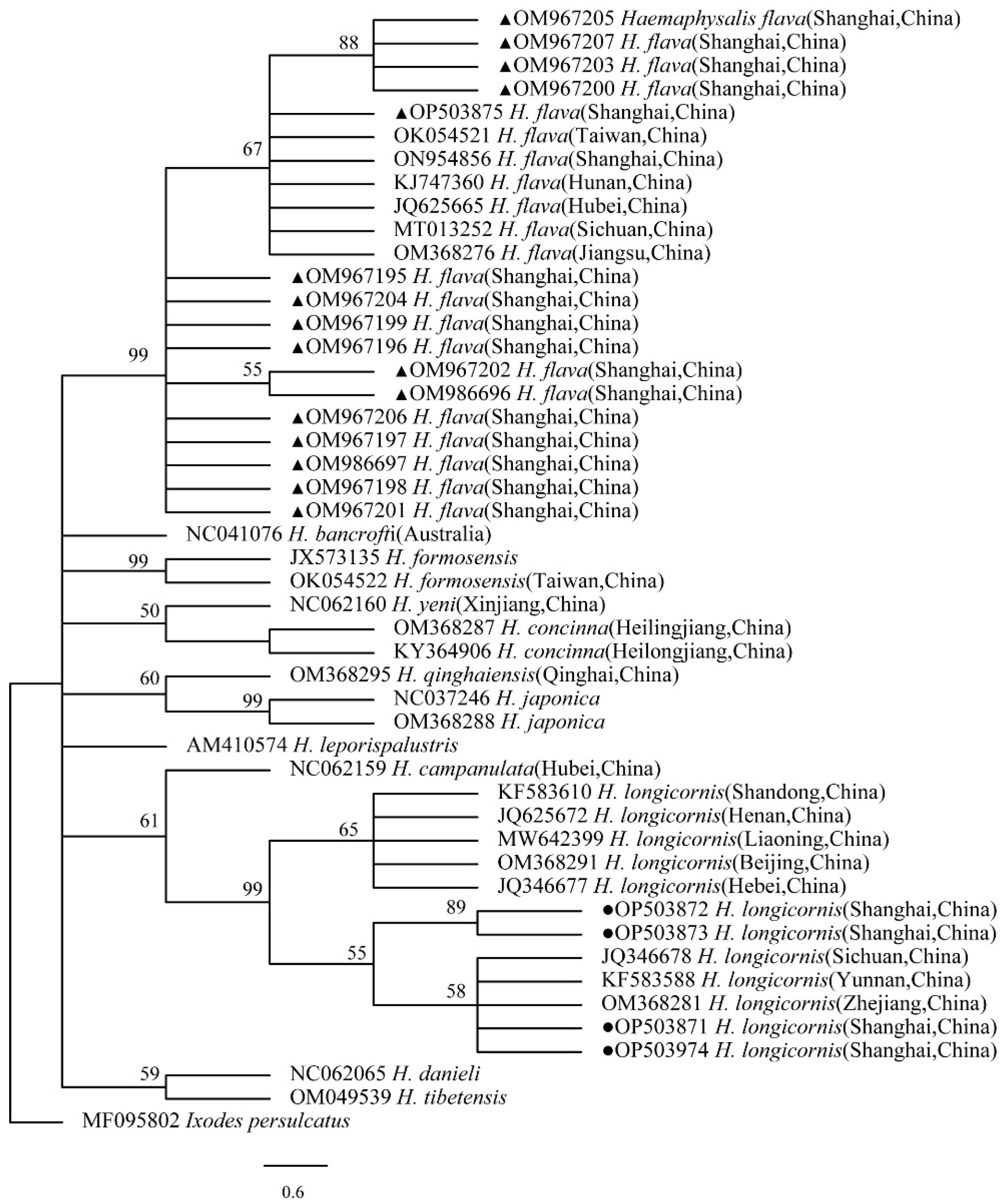 Tropicalmed 07 00413 g009 Tropicalmed 07 00413 g009