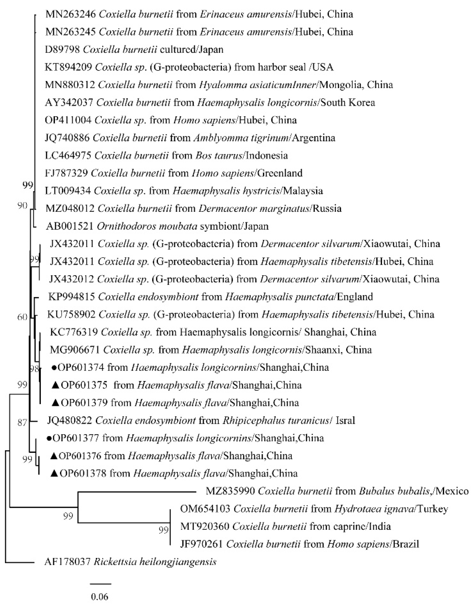 Tropicalmed 07 00413 g011 Tropicalmed 07 00413 g011