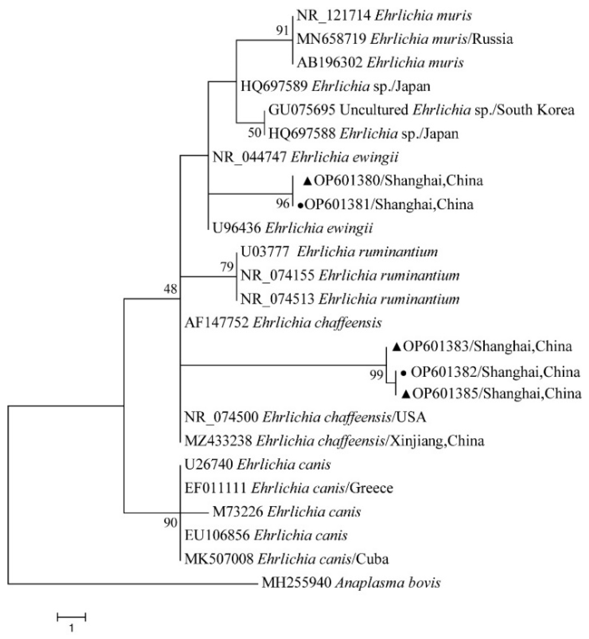 Tropicalmed 07 00413 g012 Tropicalmed 07 00413 g012