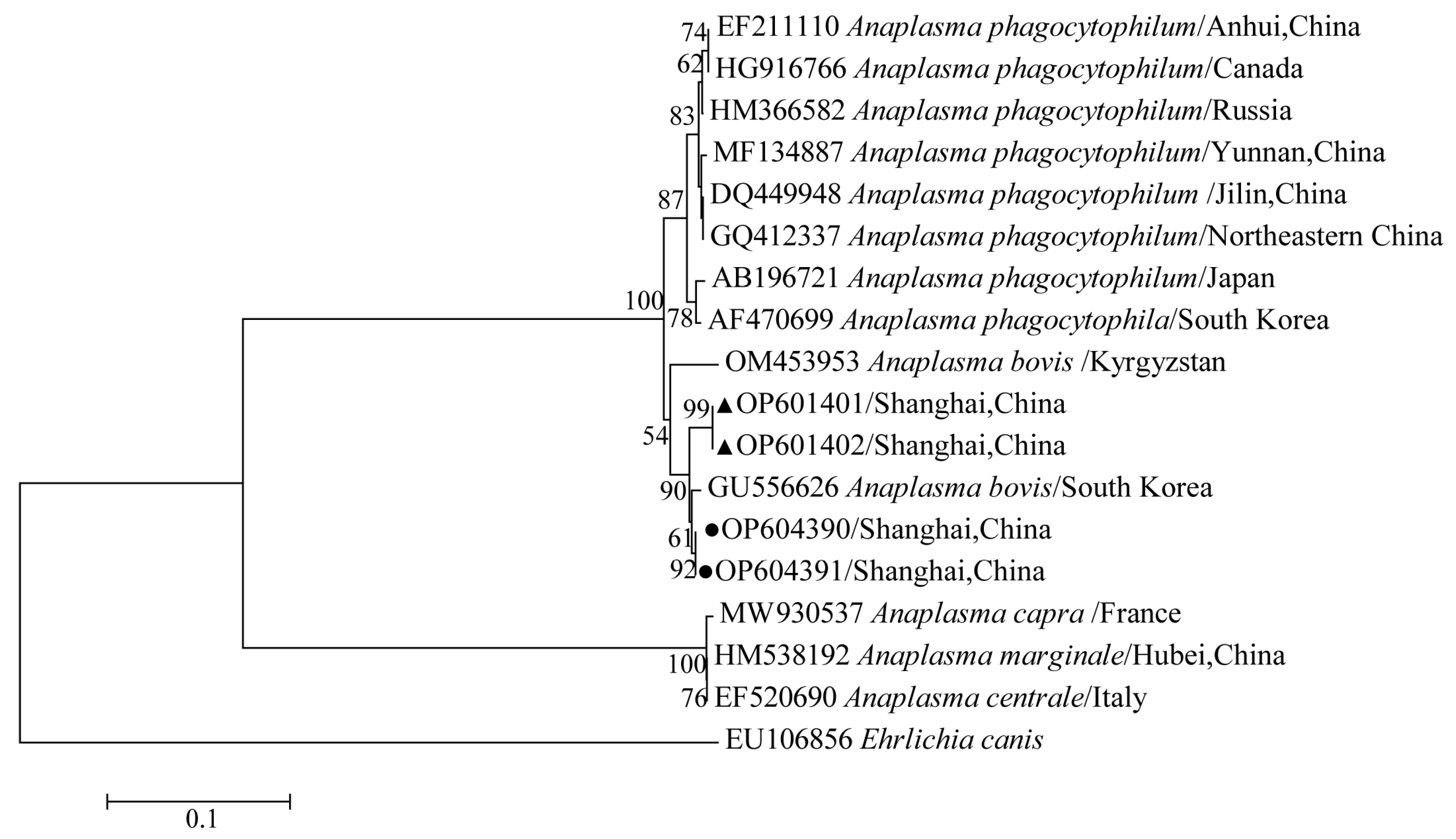 Tropicalmed 07 00413 g013 Tropicalmed 07 00413 g013