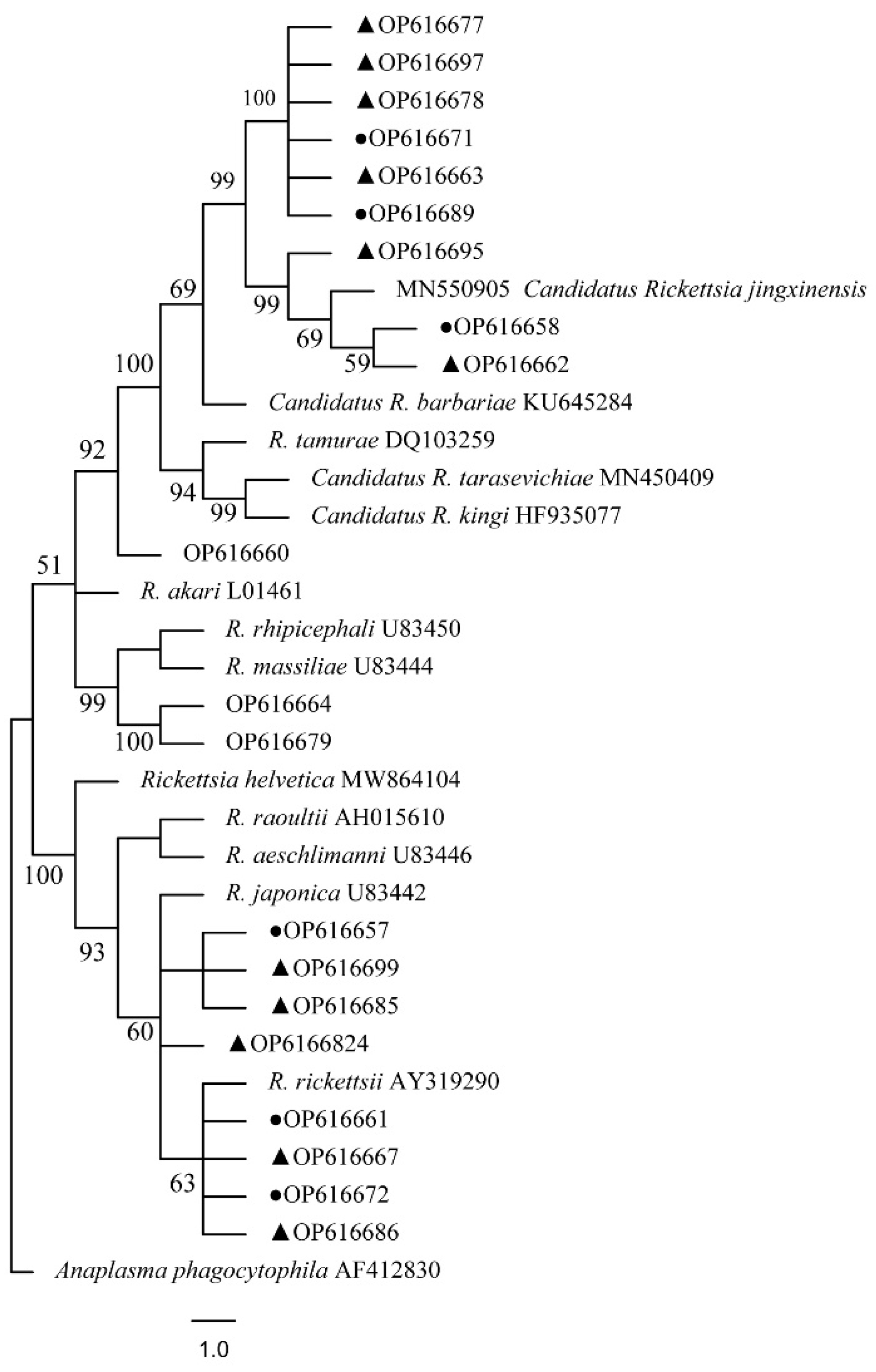 Tropicalmed 07 00413 g014 Tropicalmed 07 00413 g014