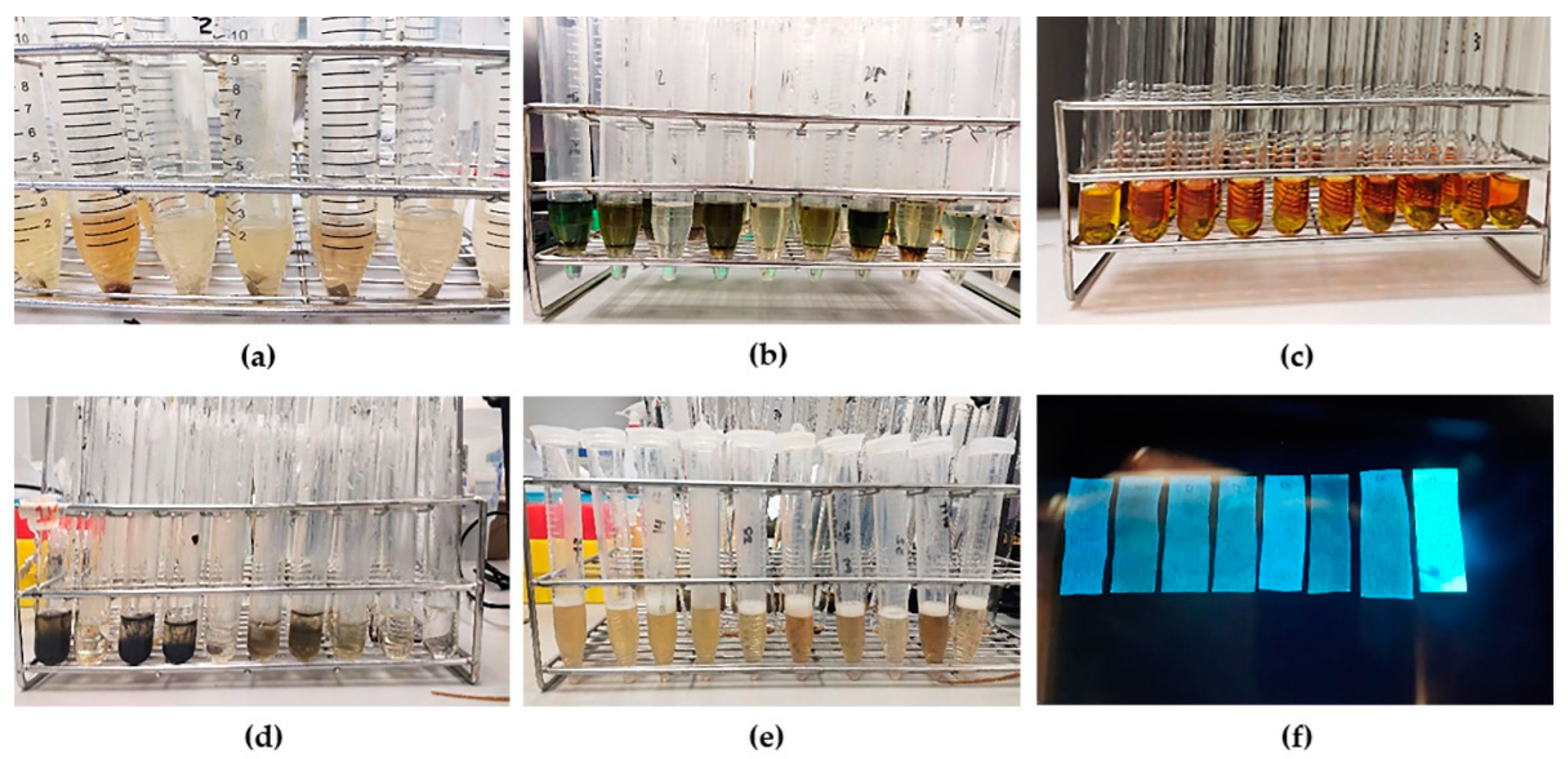 Tropicalmed 07 00417 g001