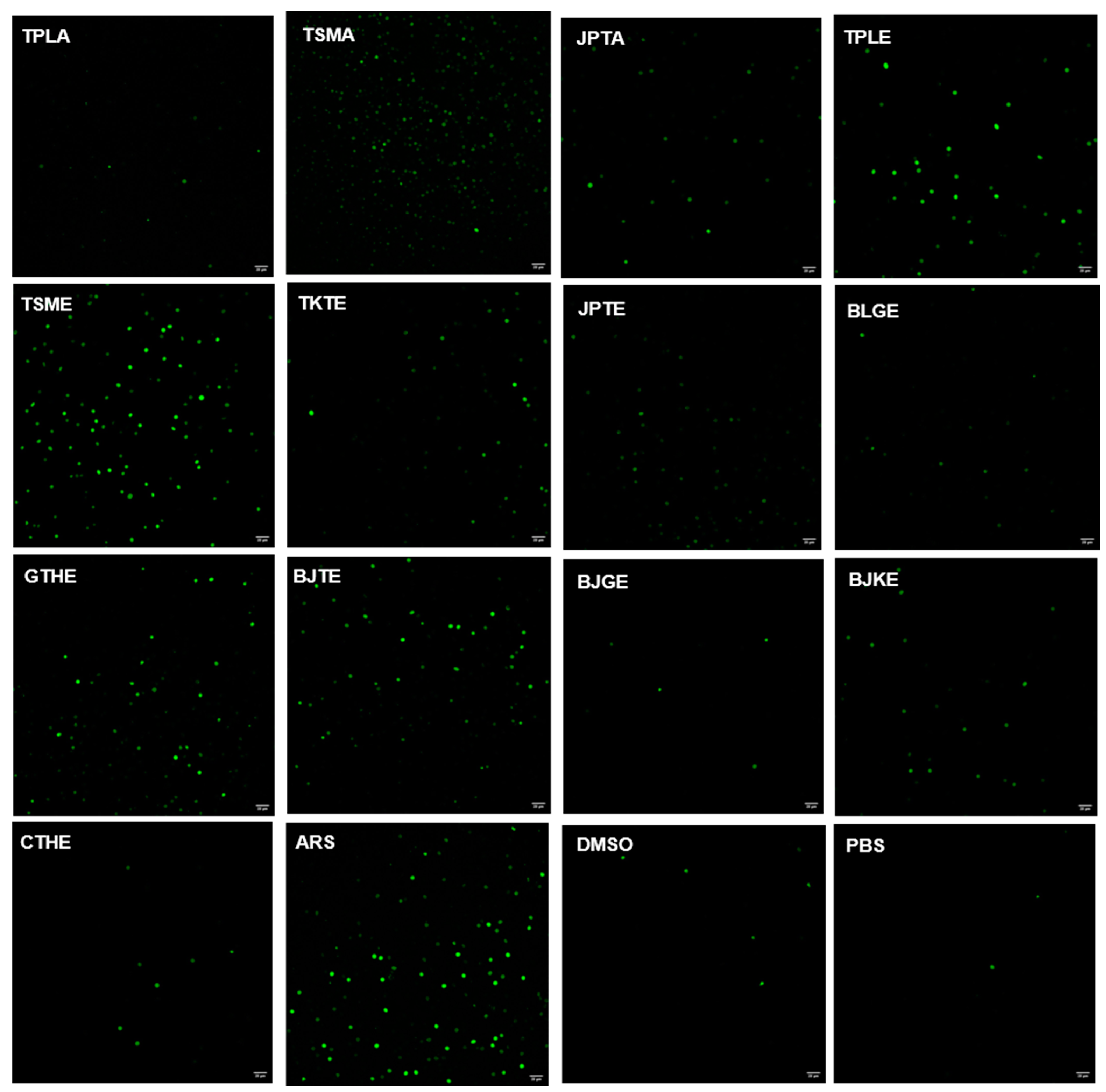 Tropicalmed 07 00417 g003