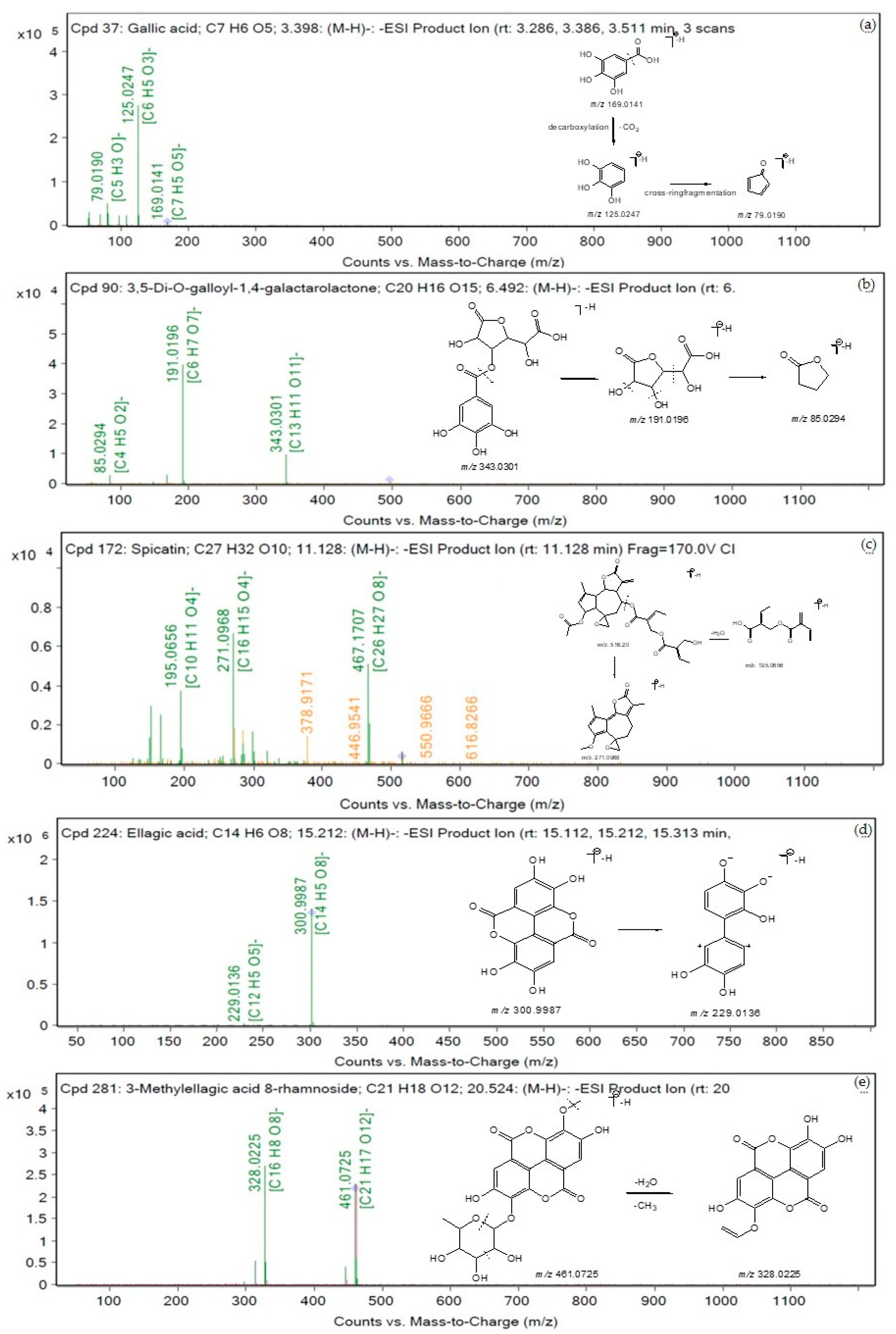 Tropicalmed 07 00417 g006