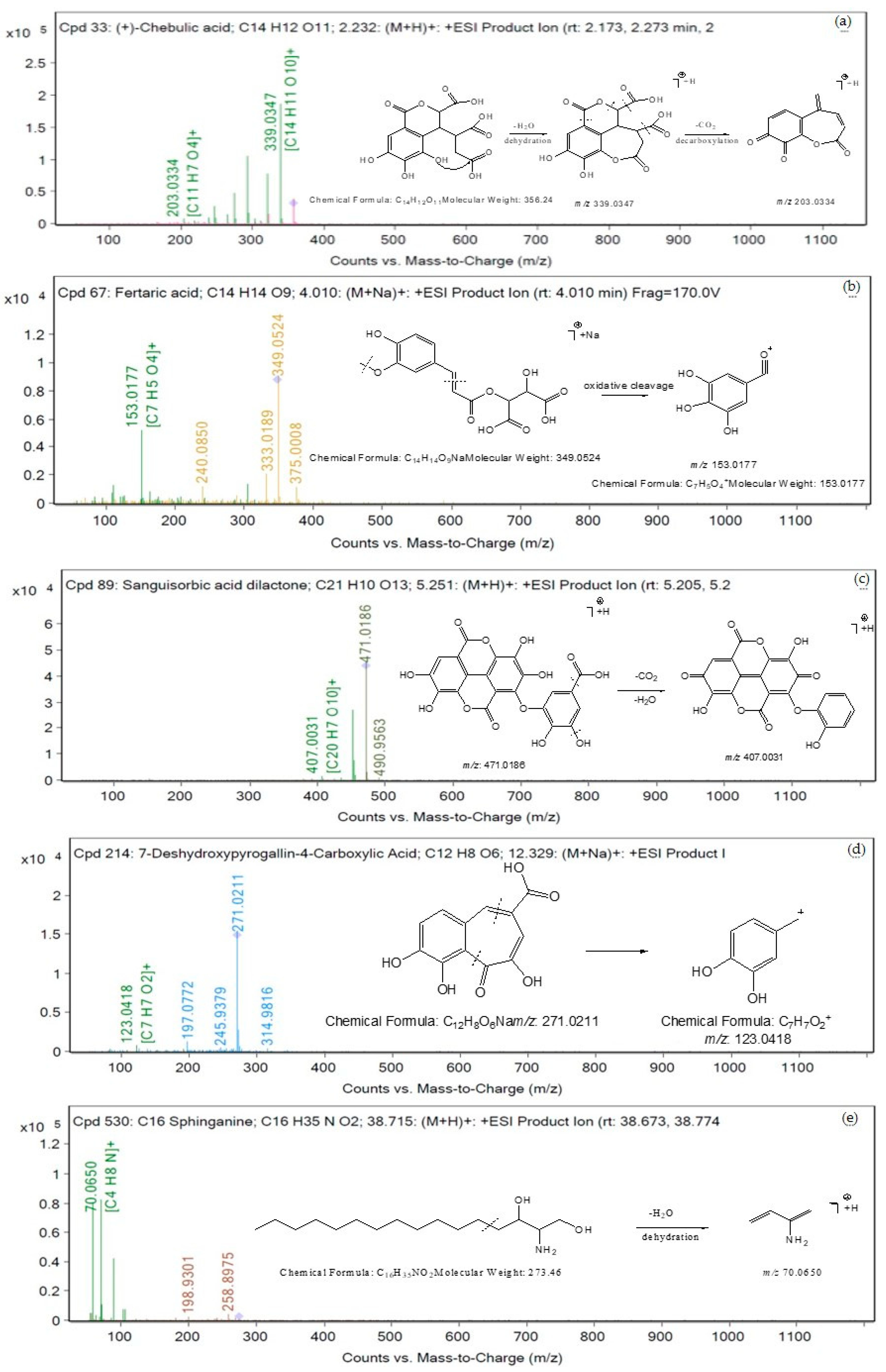 Tropicalmed 07 00417 g007