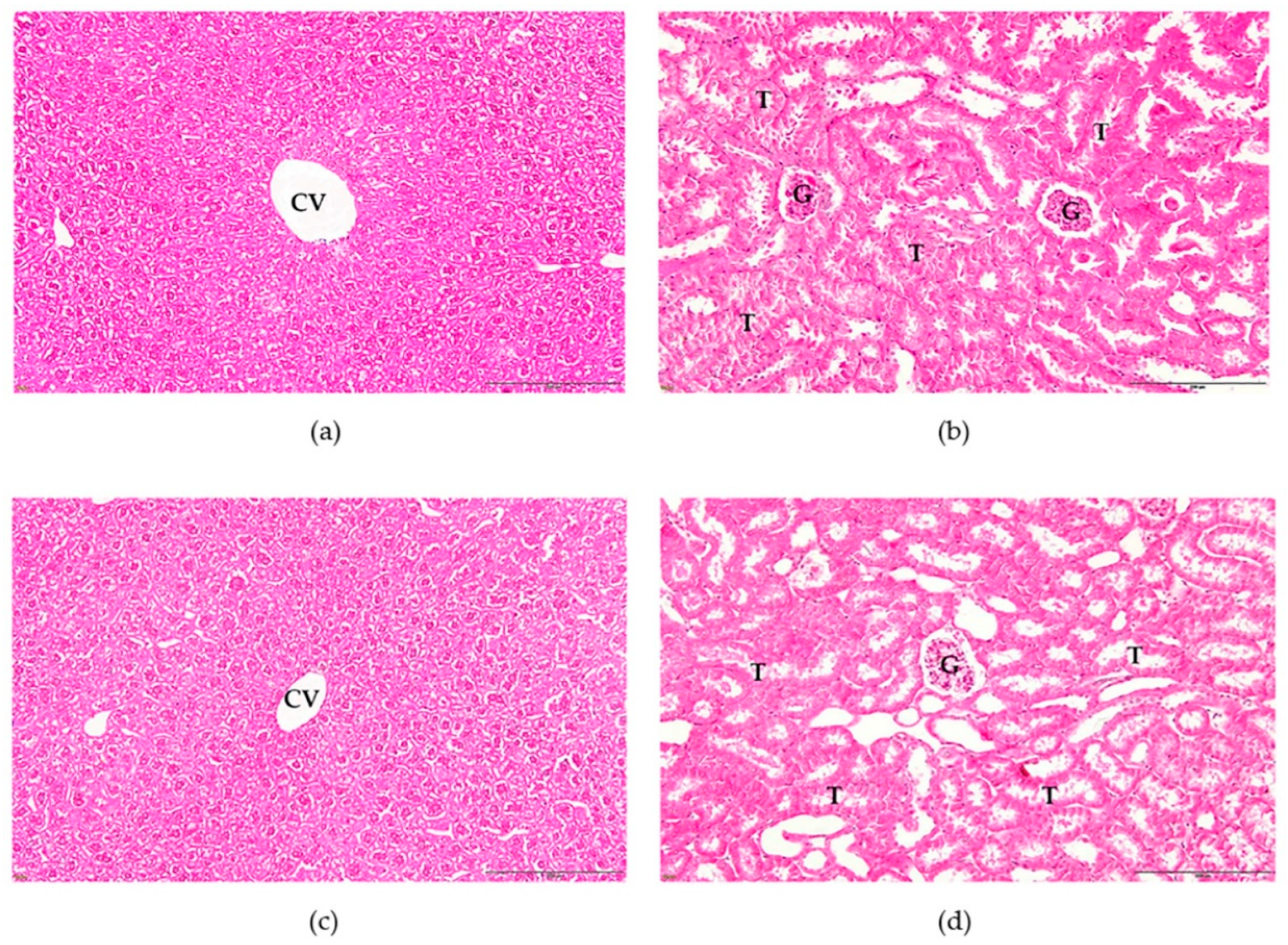 Tropicalmed 07 00417 g008