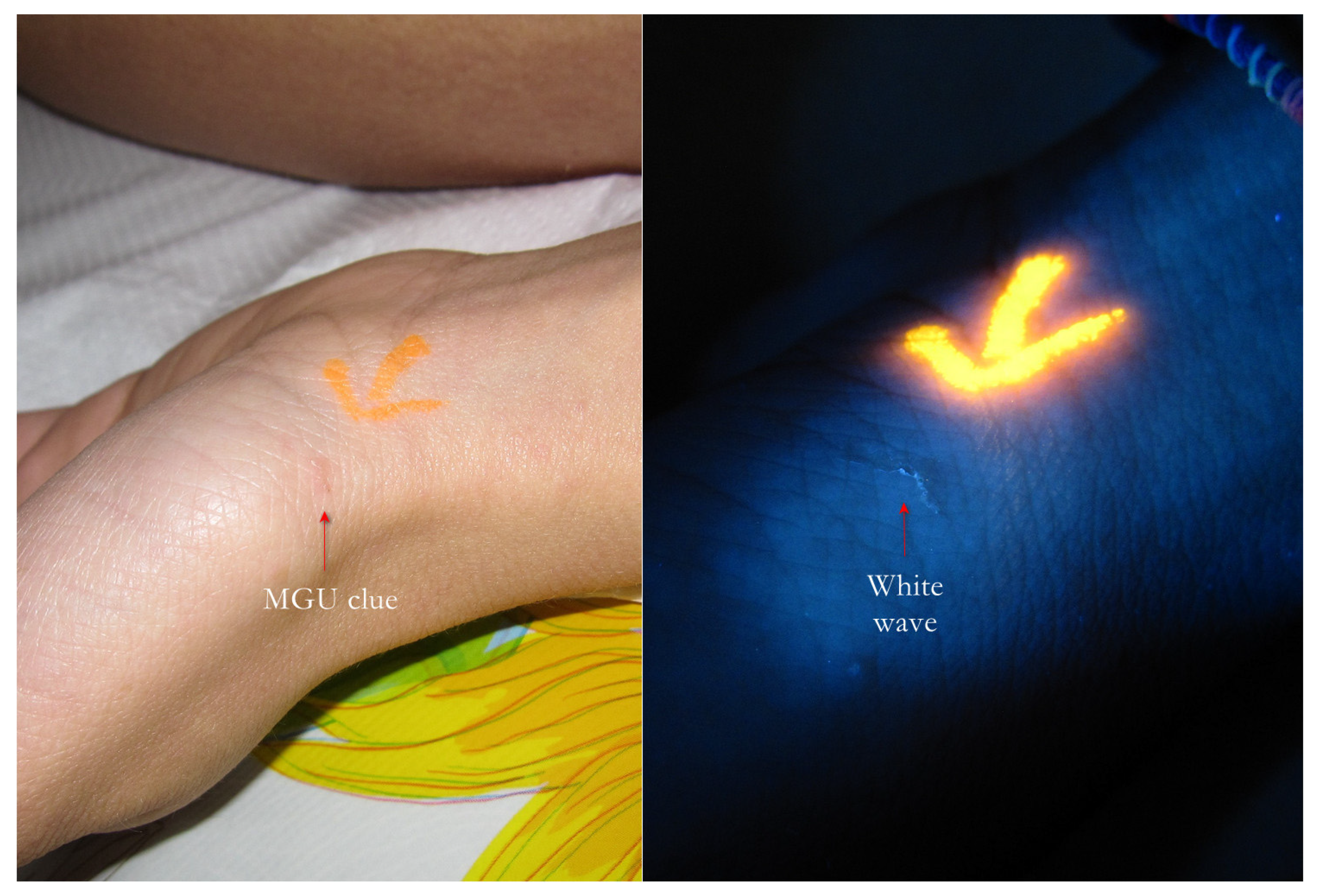 Tropicalmed 07 00422 g006