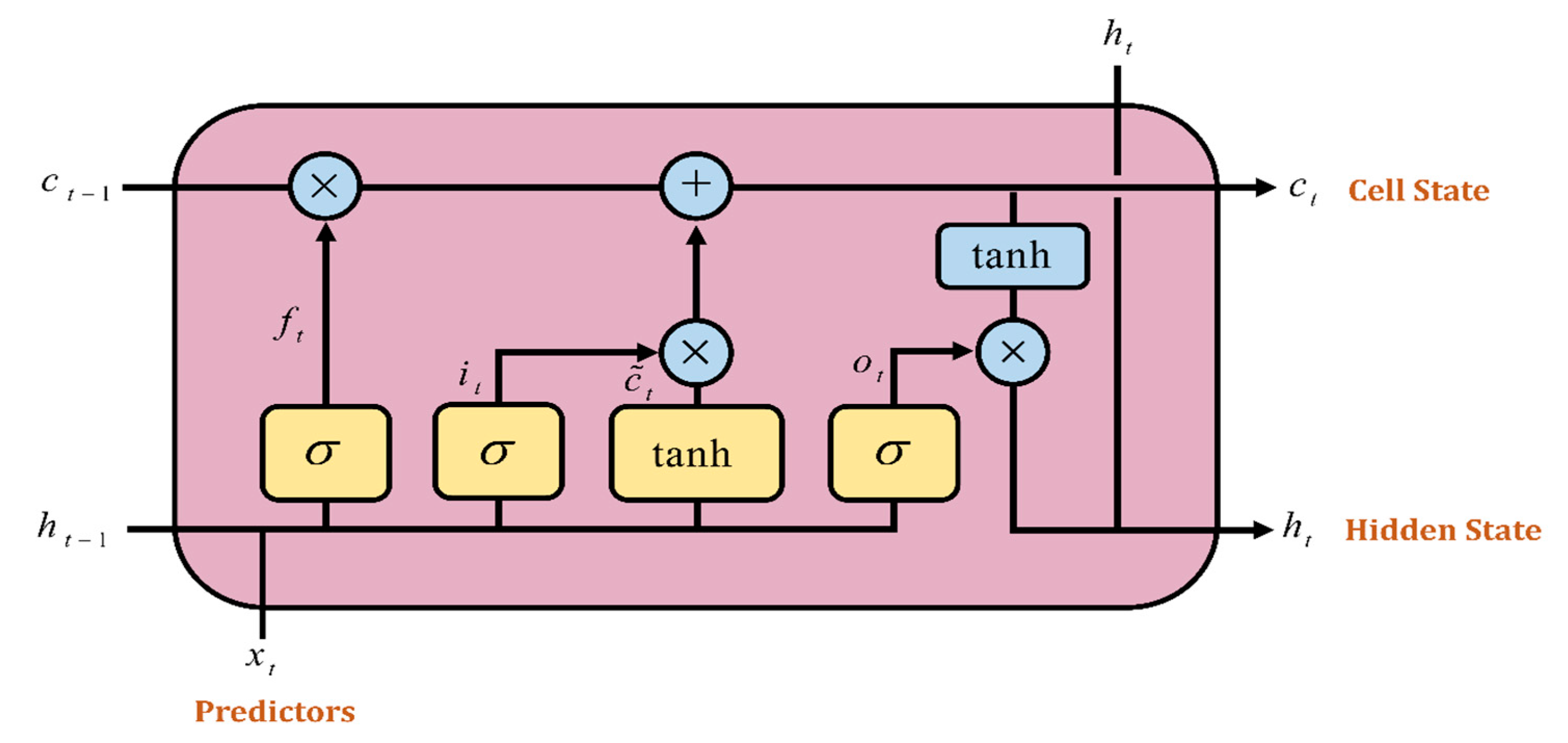 Tropicalmed 07 00424 g003
