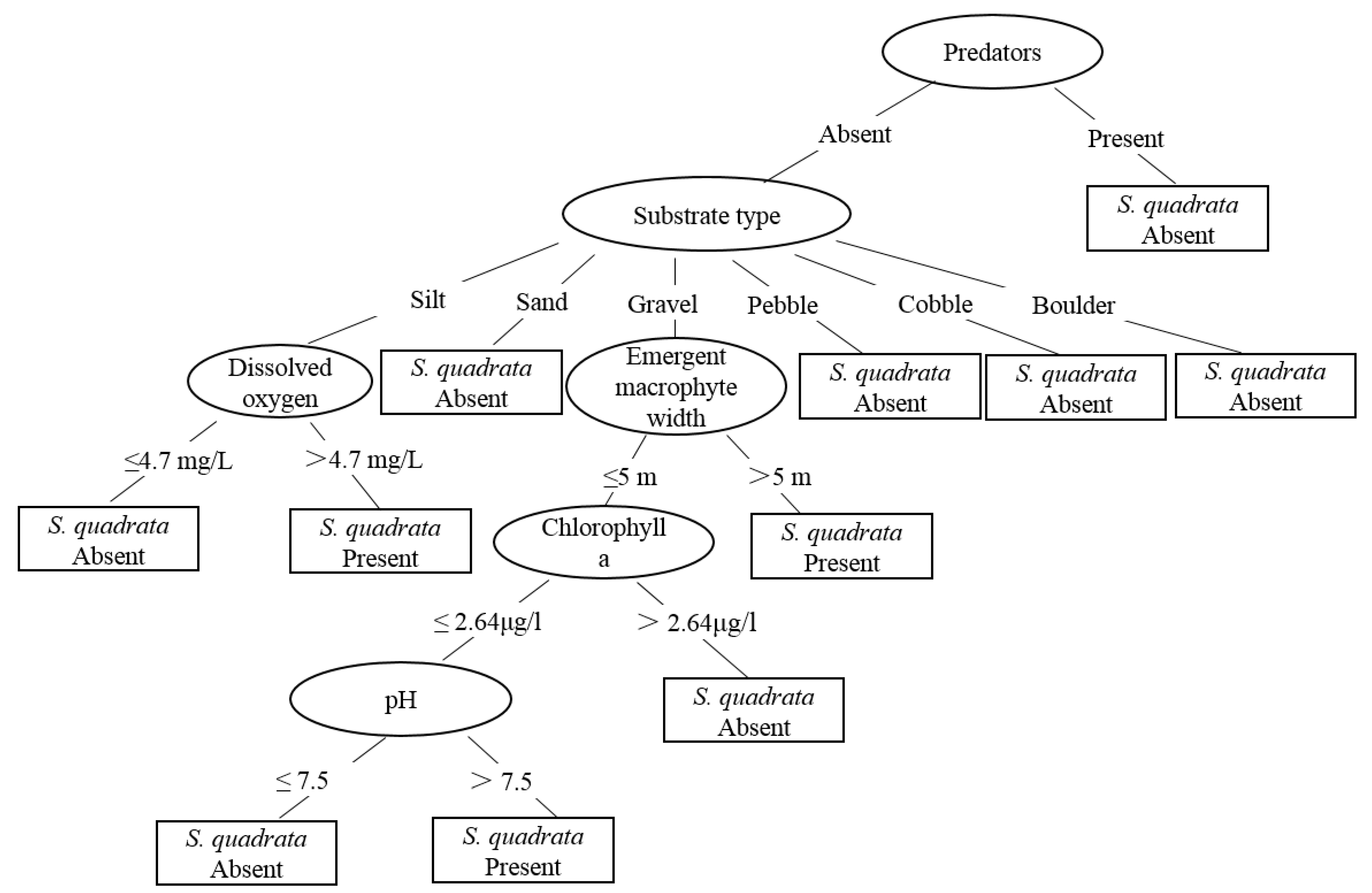 Tropicalmed 07 00426 g004 Tropicalmed 07 00426 g004
