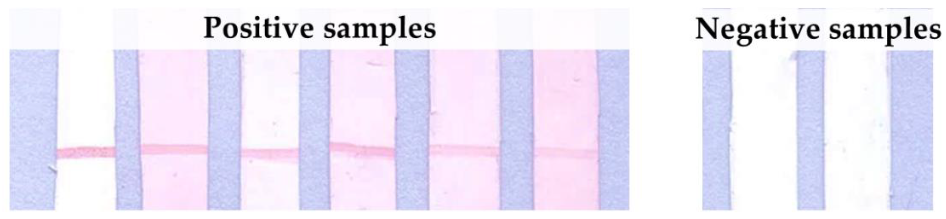 Tropicalmed 07 00427 g002