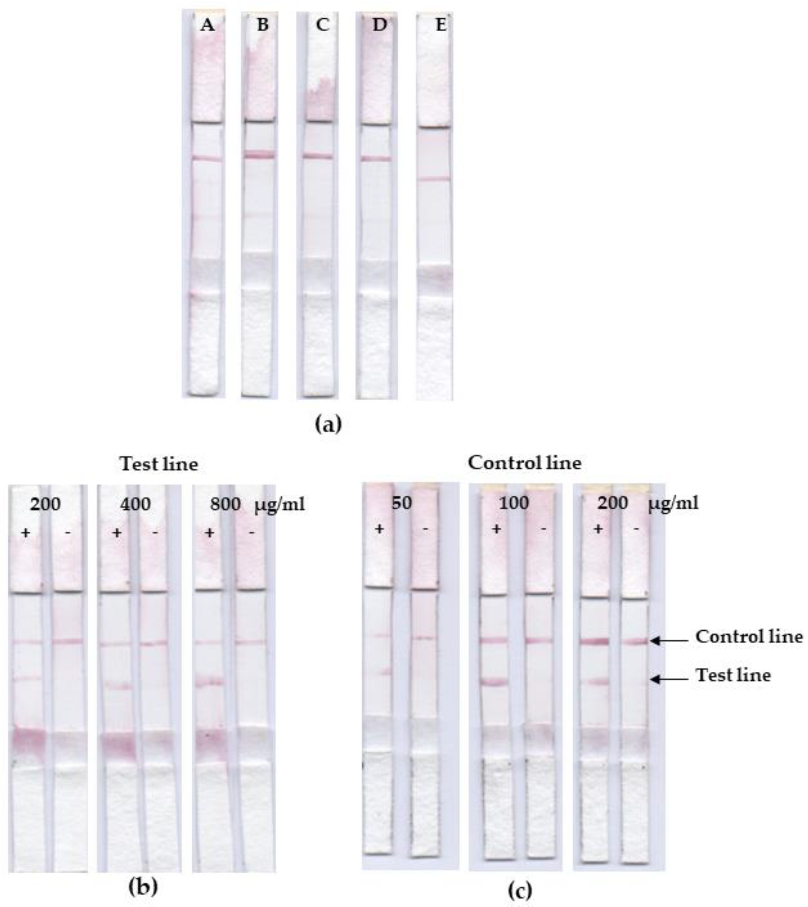 Tropicalmed 07 00427 g004