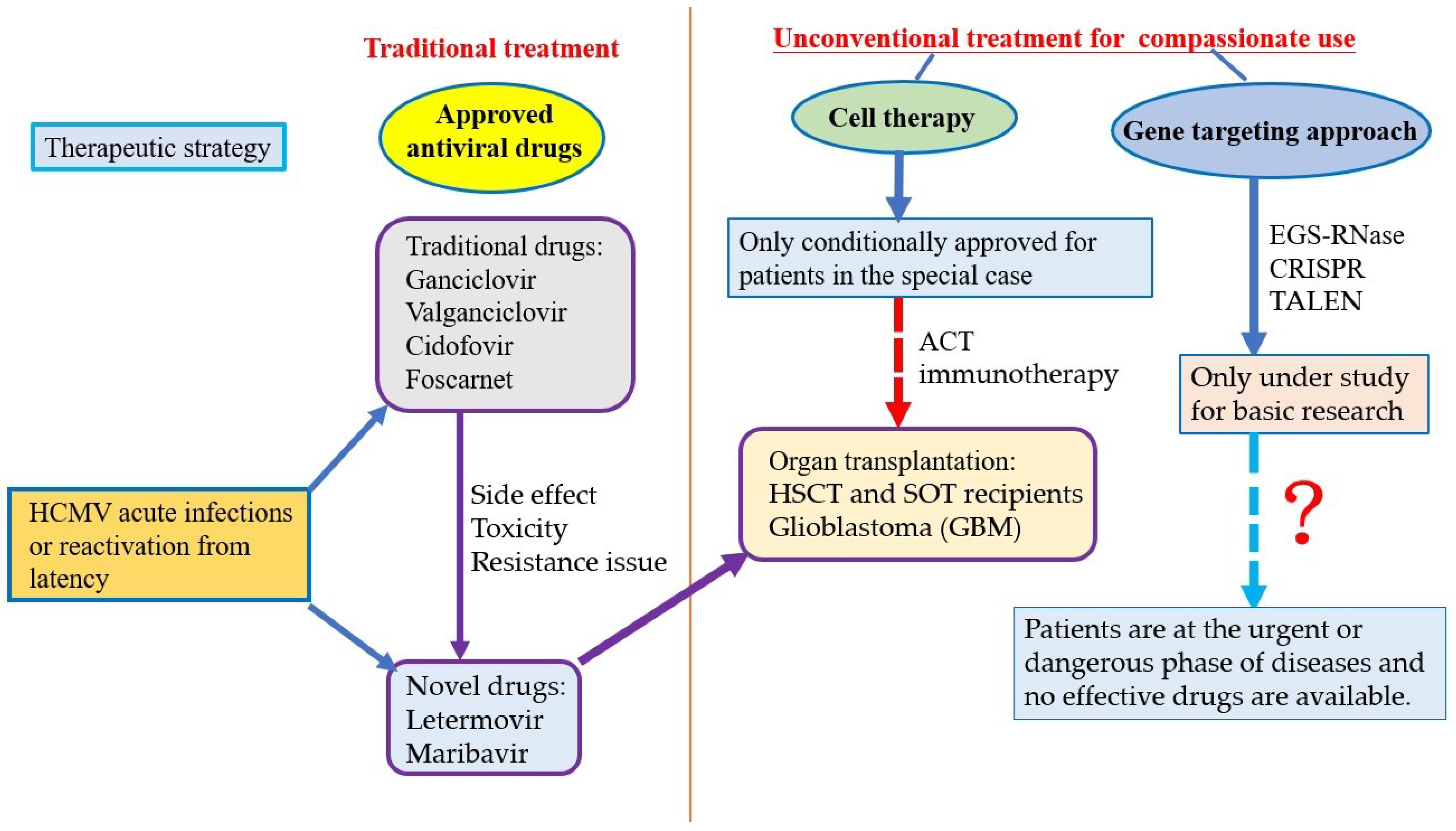 Tropicalmed 07 00439 g002