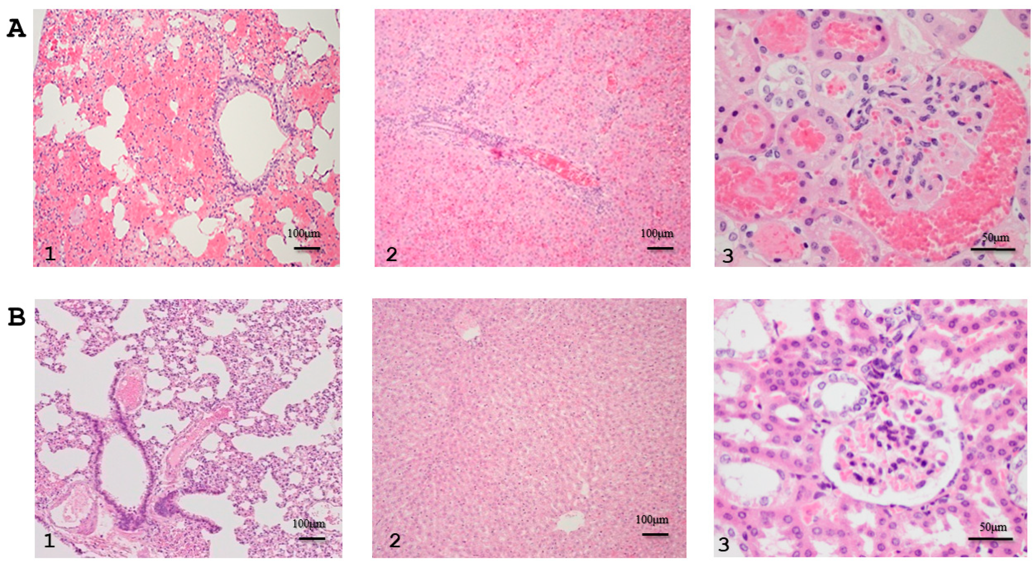 Tropicalmed 08 00006 g007