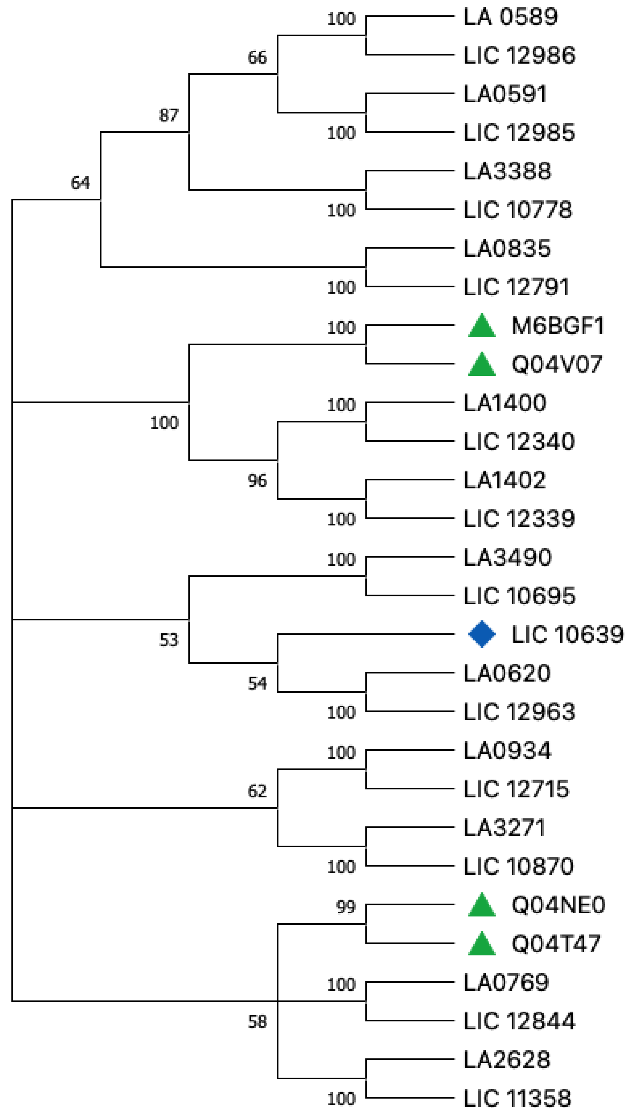 Tropicalmed 08 00014 g001 Tropicalmed 08 00014 g001