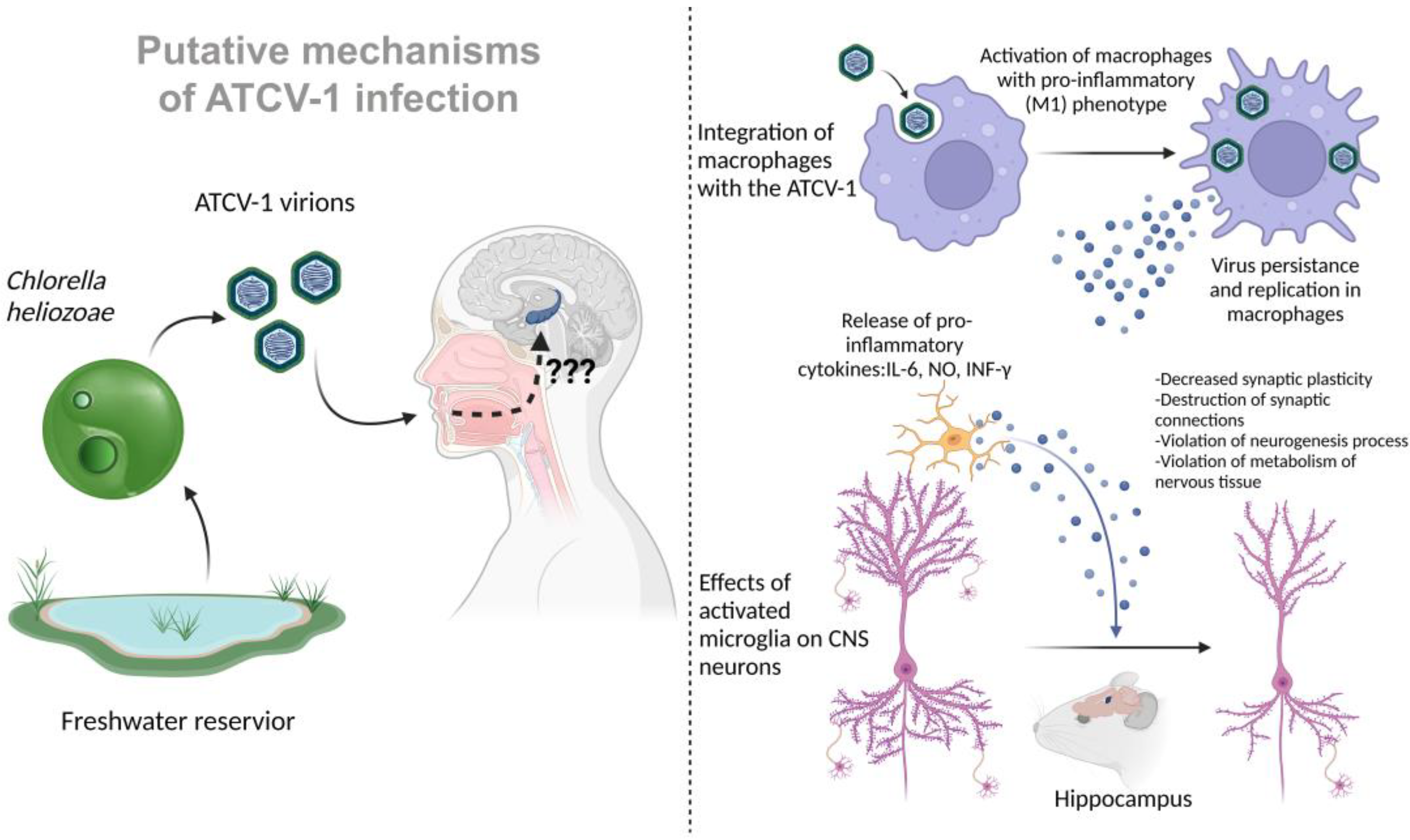 Tropicalmed 08 00040 g001