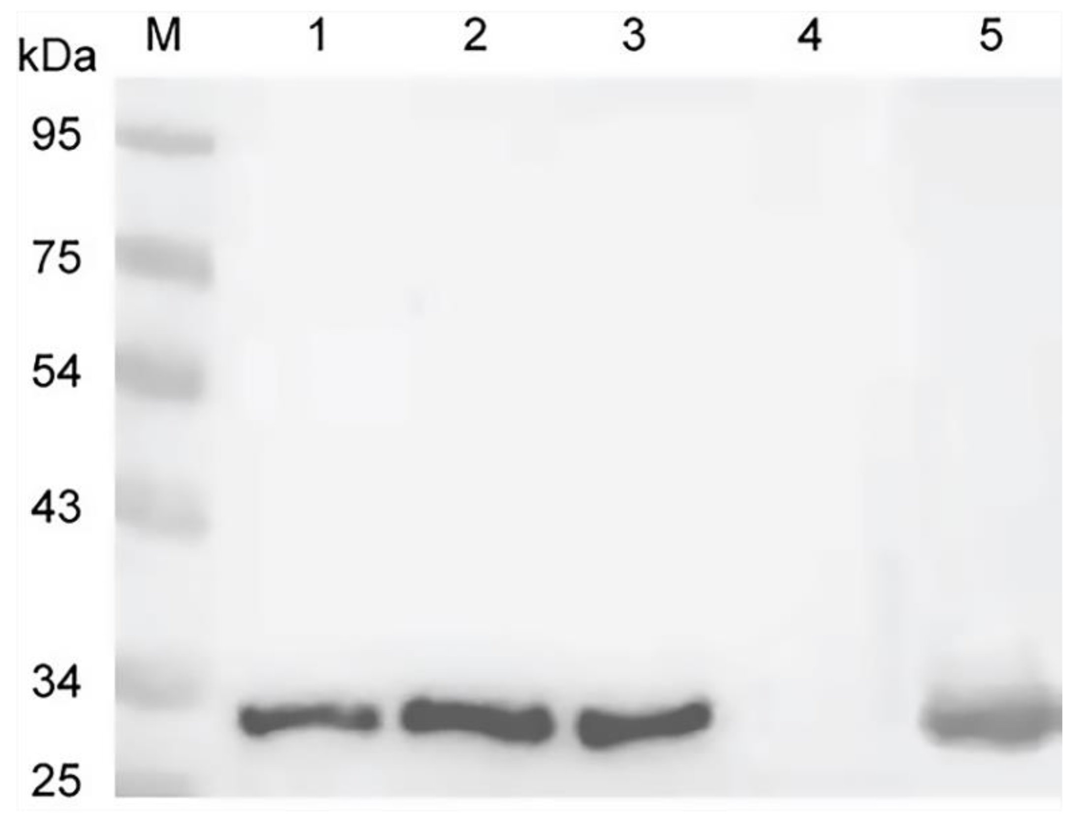 Tropicalmed 08 00047 g002 Tropicalmed 08 00047 g002