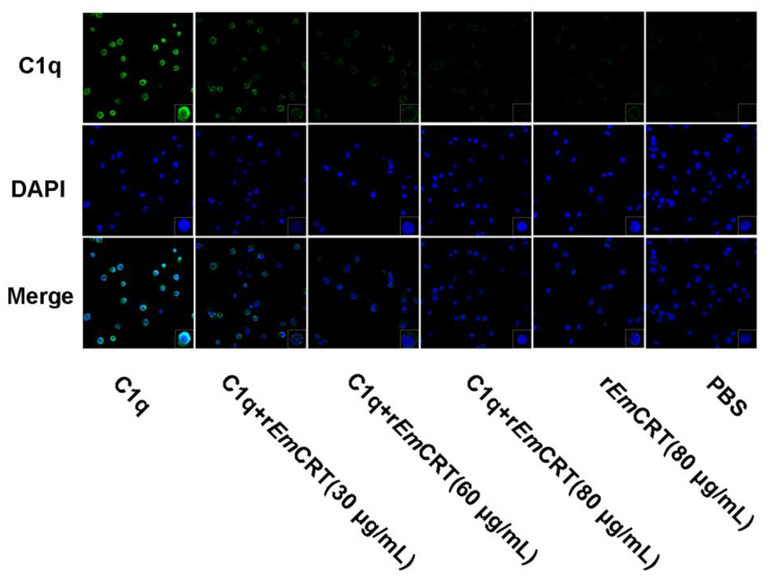 Tropicalmed 08 00047 g006 Tropicalmed 08 00047 g006