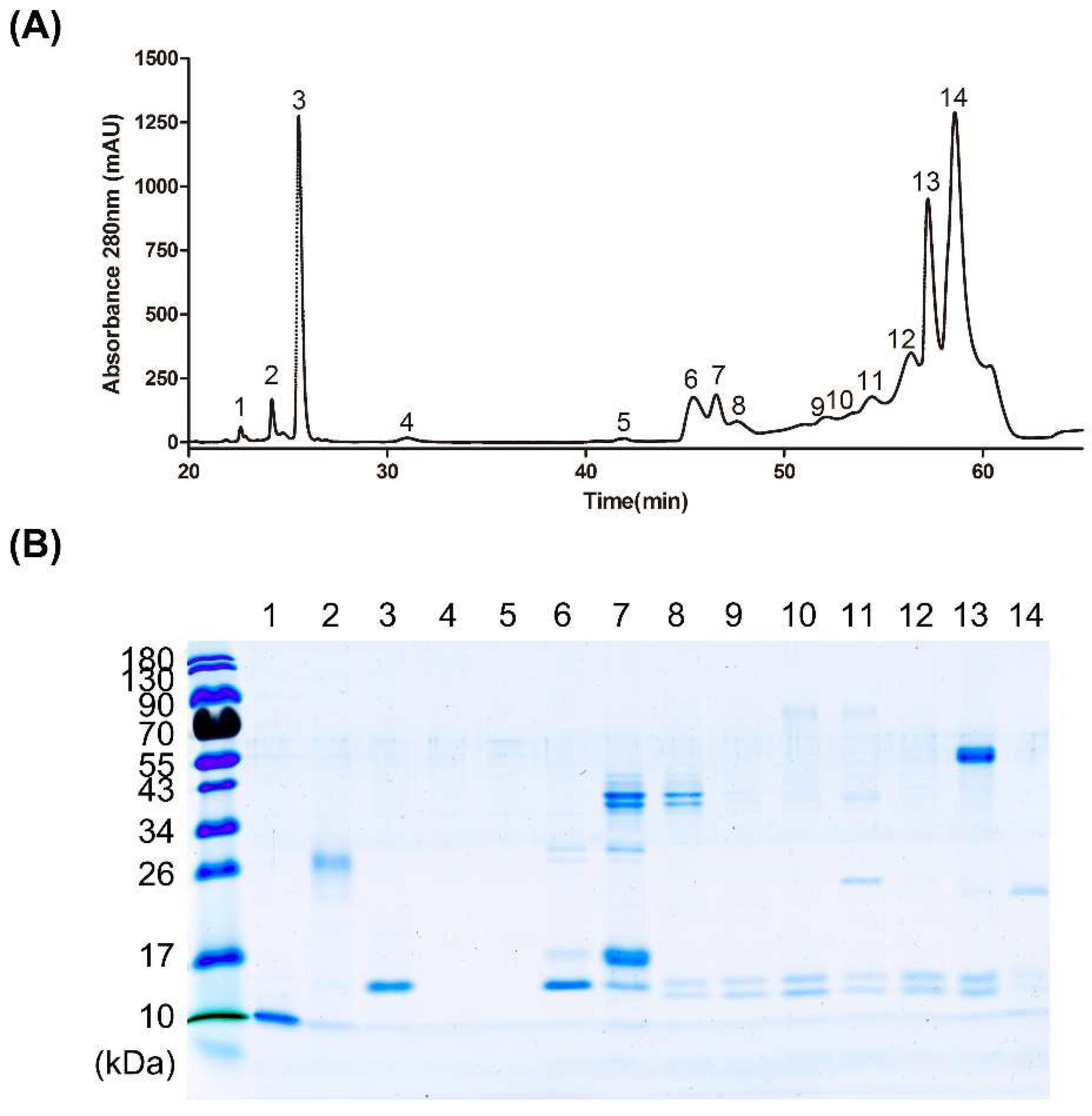 Tropicalmed 08 00051 g002 Tropicalmed 08 00051 g002
