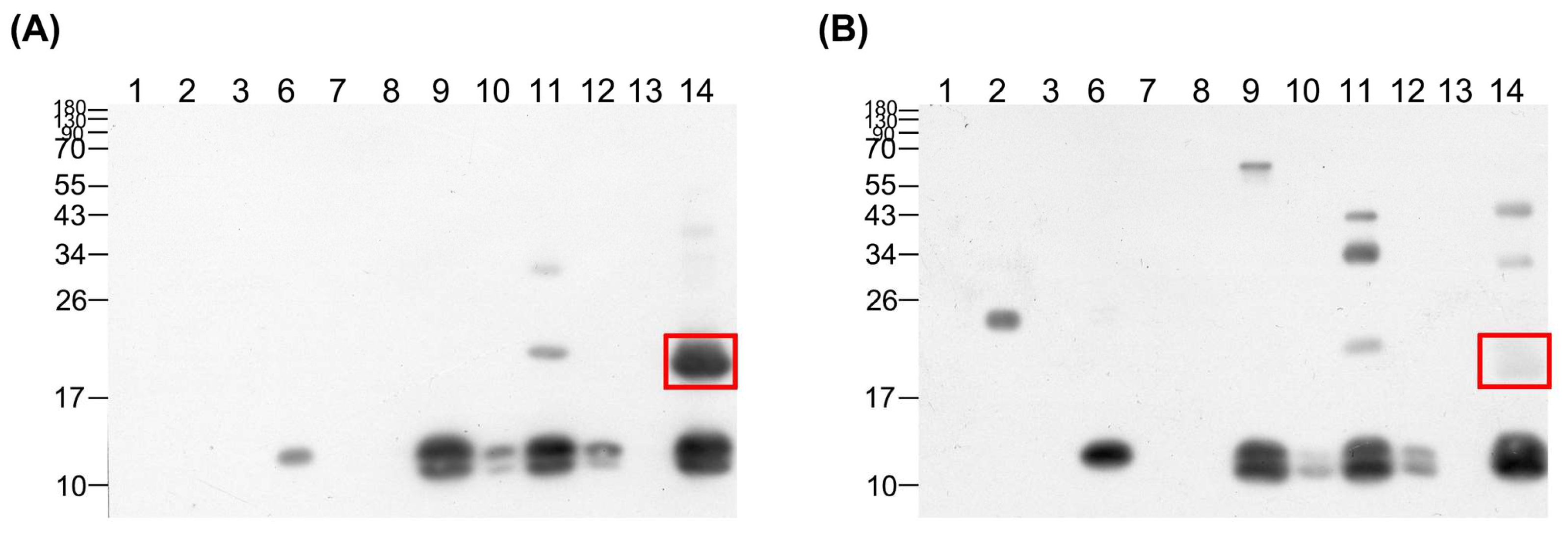 Tropicalmed 08 00051 g004 Tropicalmed 08 00051 g004
