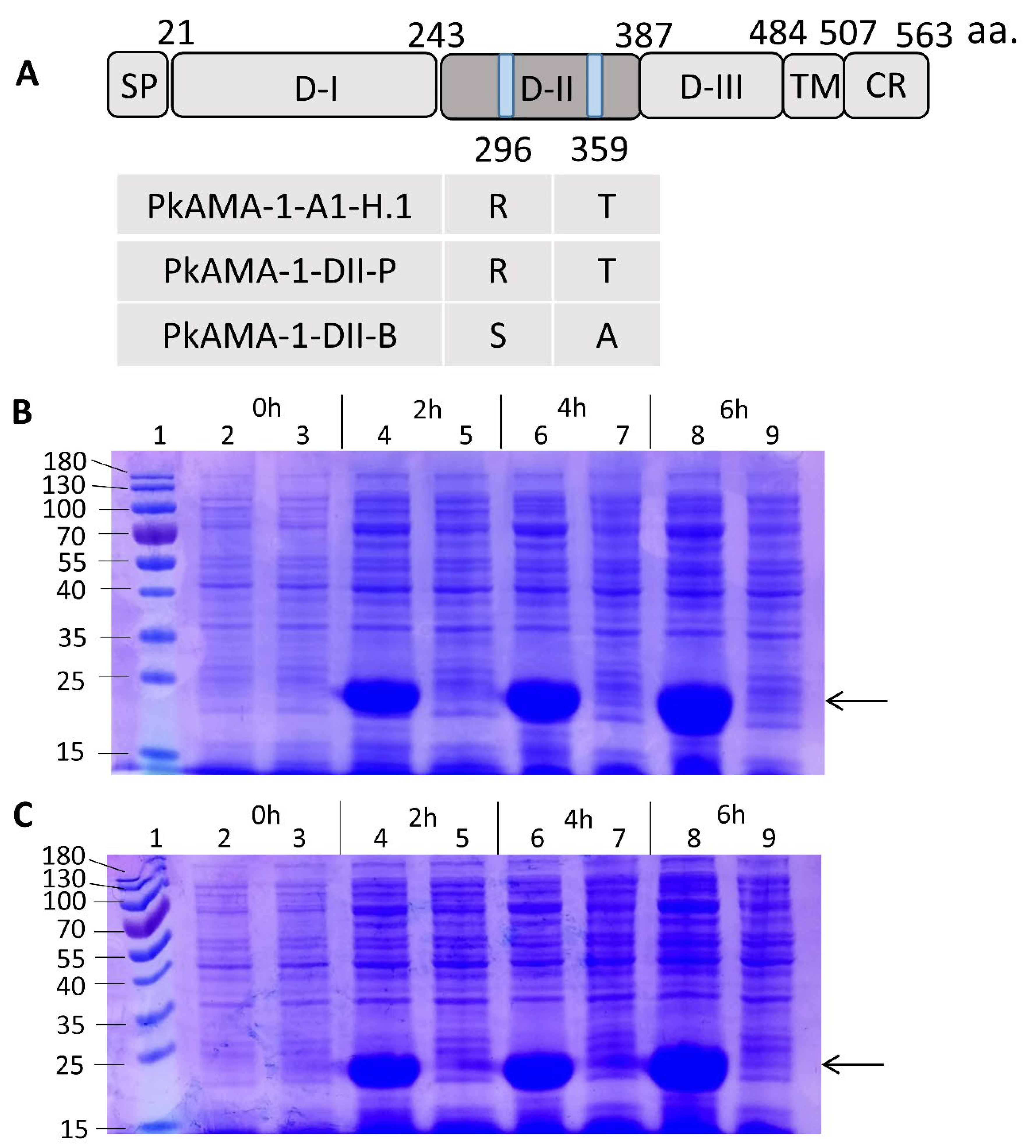 Tropicalmed 08 00056 g001a Tropicalmed 08 00056 g001a