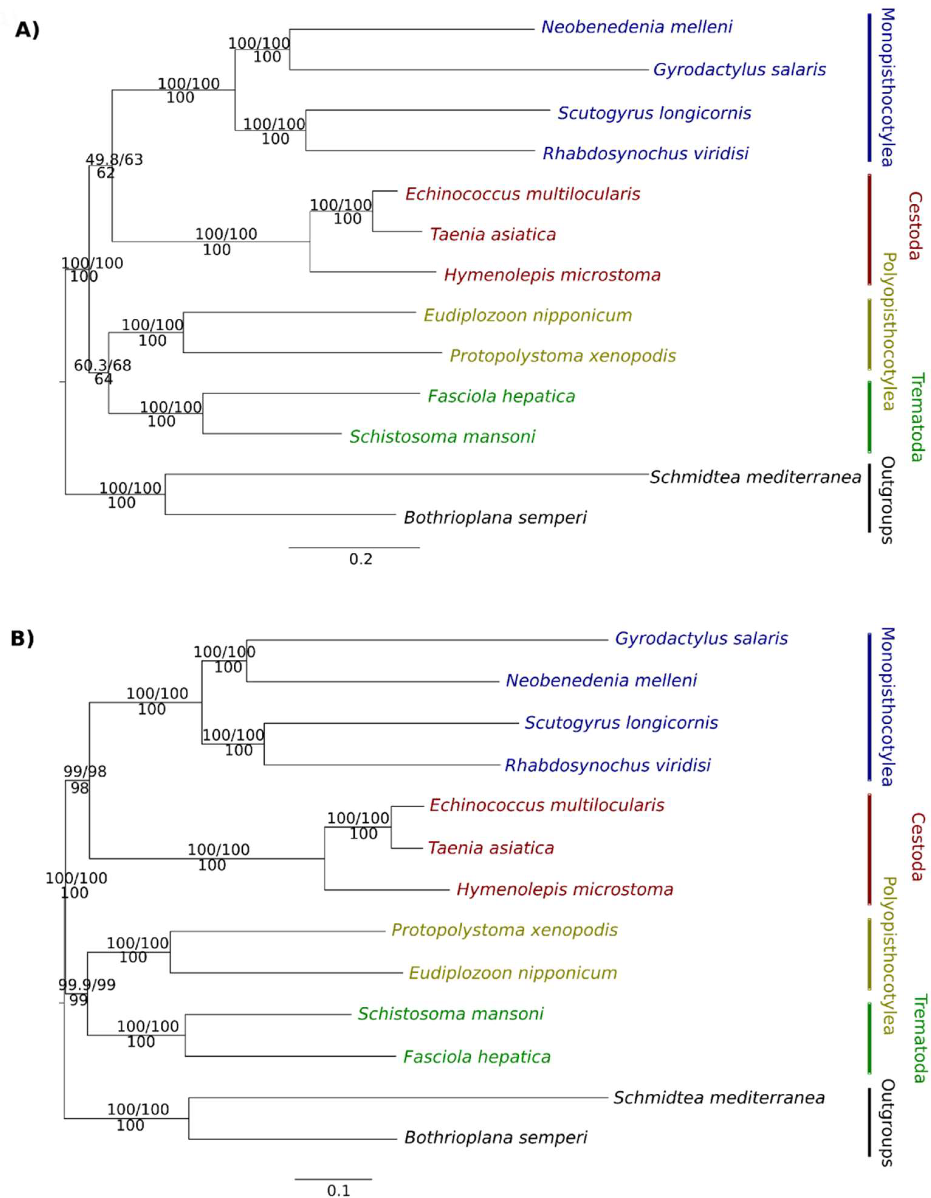 Tropicalmed 08 00059 g001 Tropicalmed 08 00059 g001