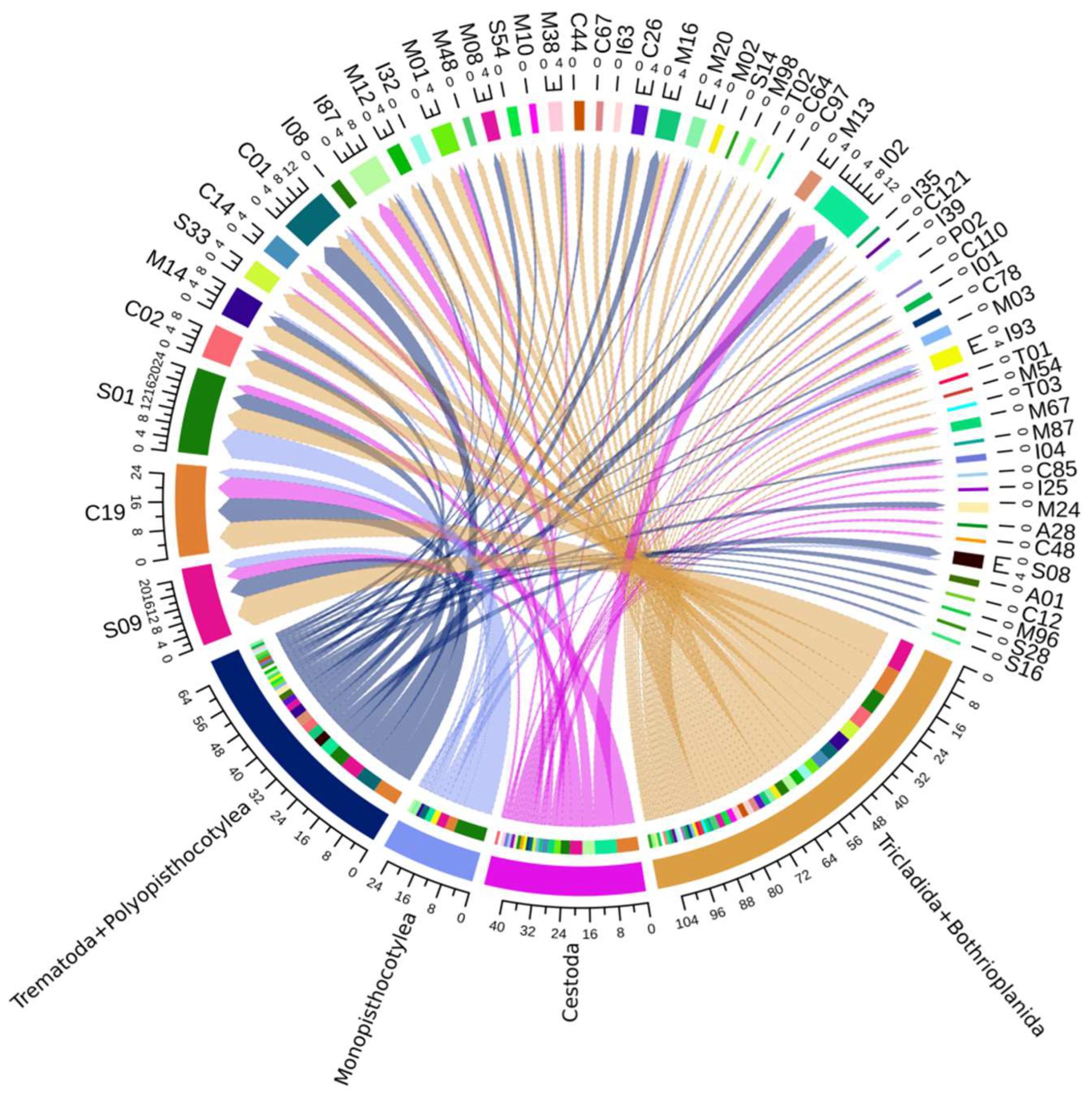 Tropicalmed 08 00059 g005 Tropicalmed 08 00059 g005