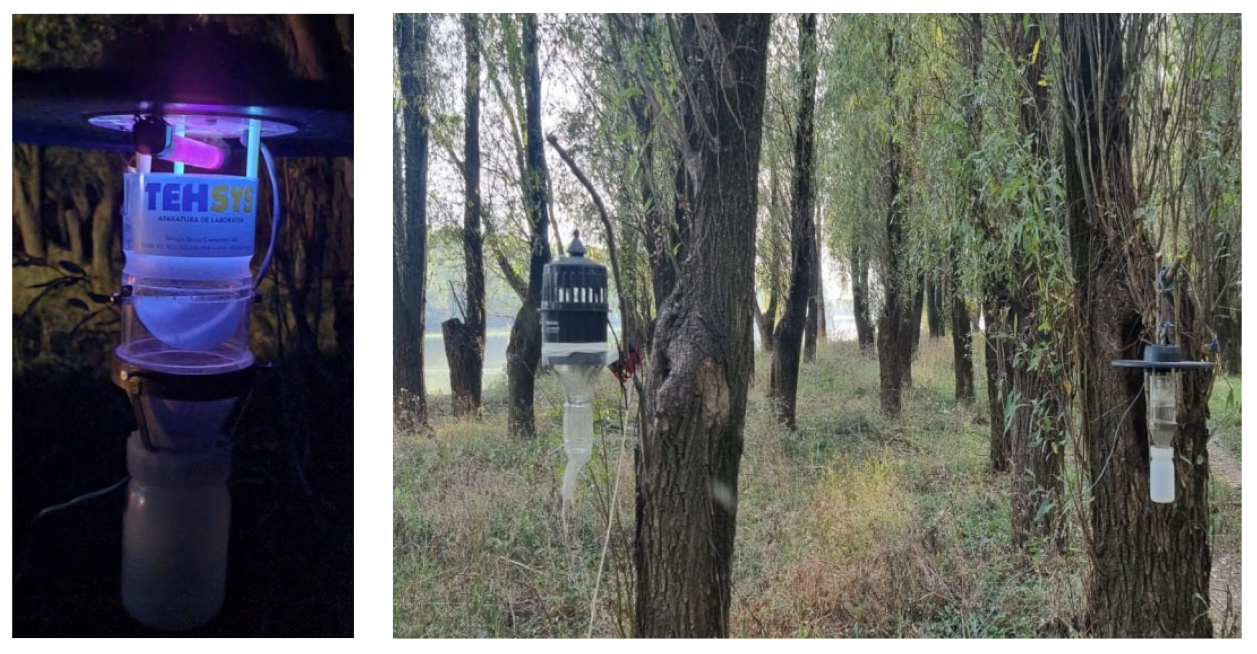 Tropicalmed 08 00065 g001 Tropicalmed 08 00065 g001