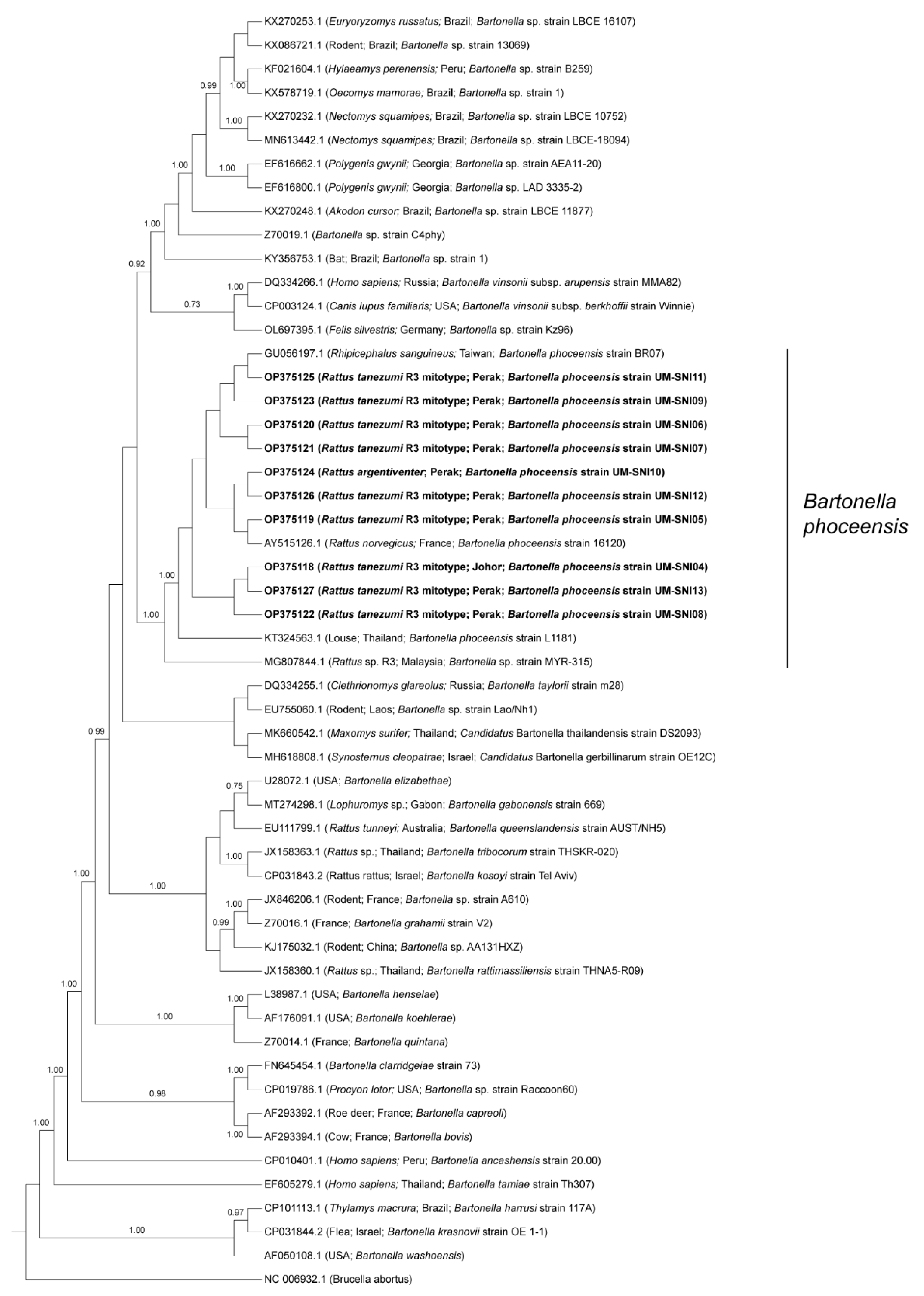 Tropicalmed 08 00074 g003 Tropicalmed 08 00074 g003