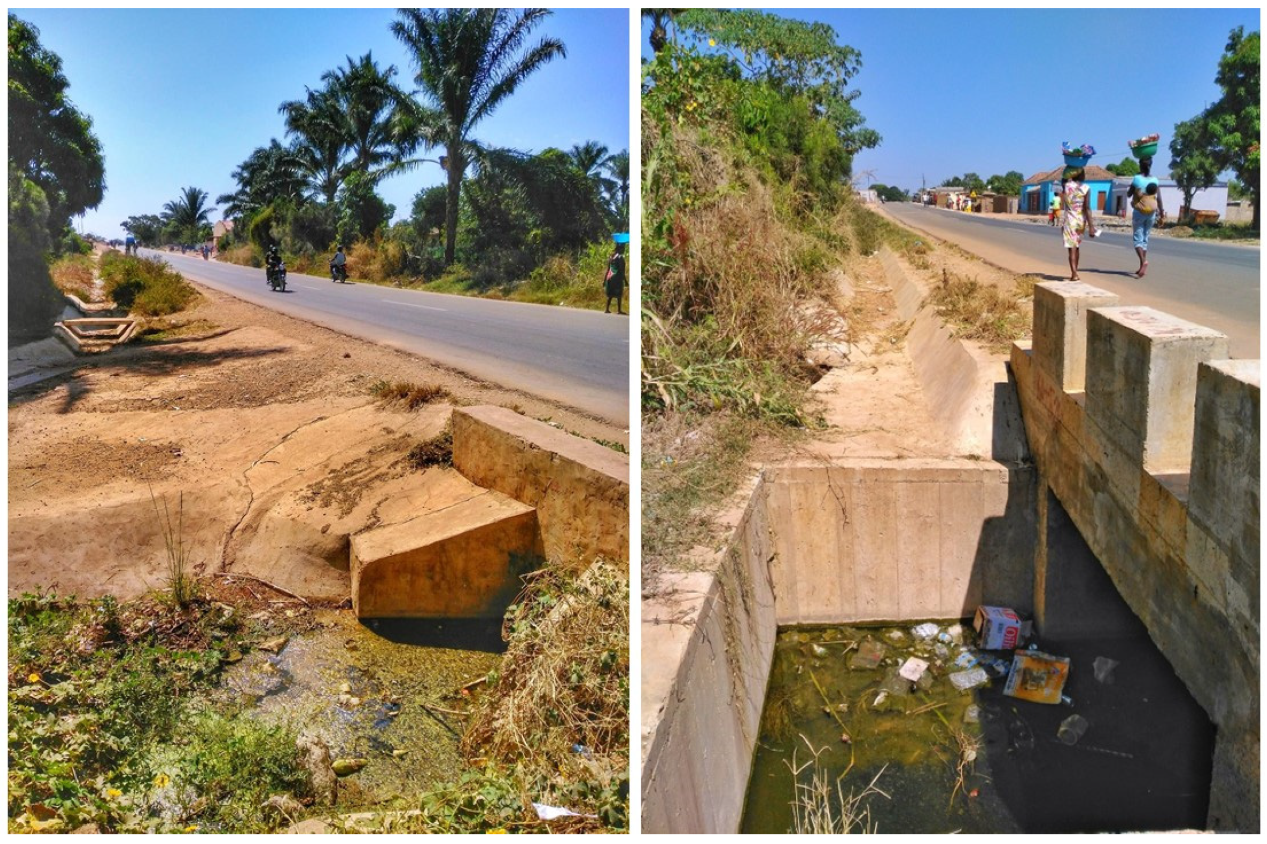 Tropicalmed 08 00096 g006