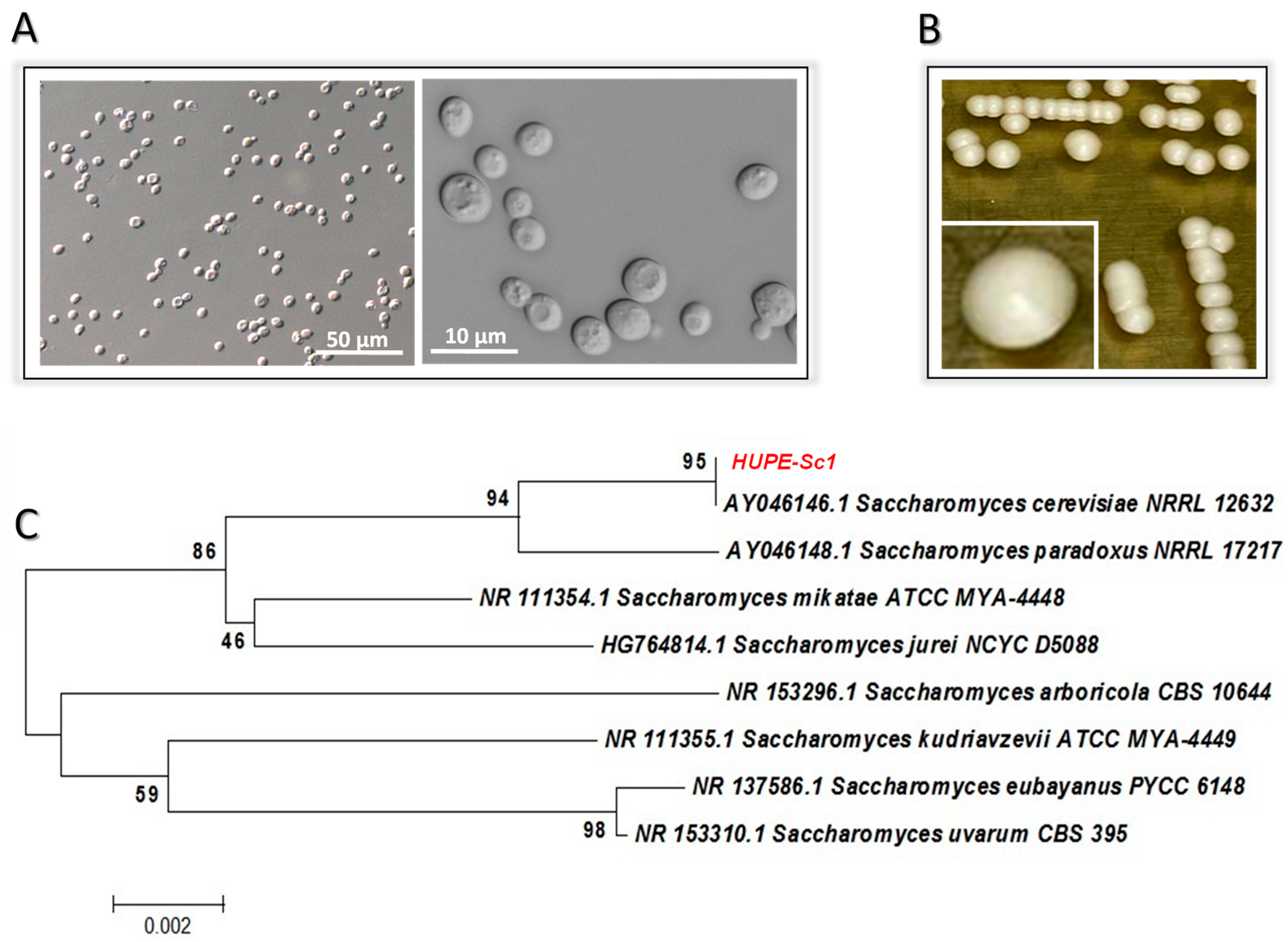 Tropicalmed 08 00099 g001