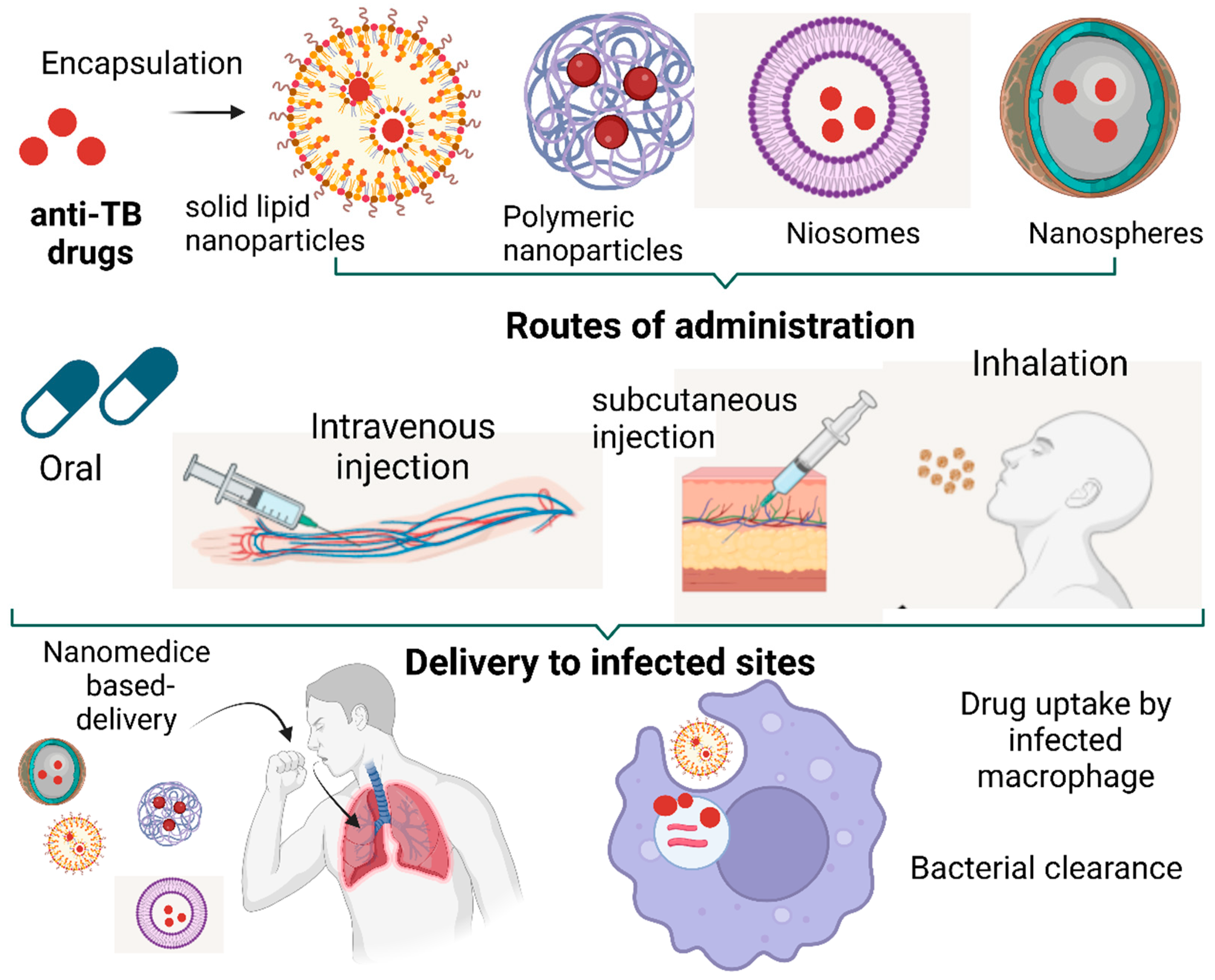 Tropicalmed 08 00100 g002 Tropicalmed 08 00100 g002