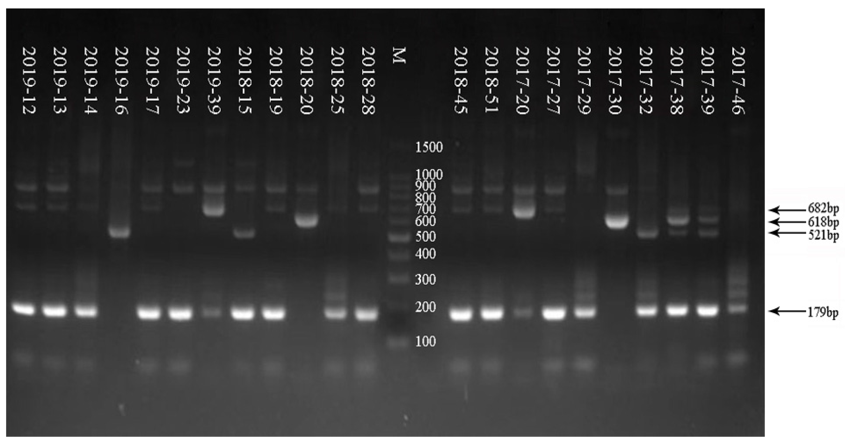 Tropicalmed 08 00101 g001 550