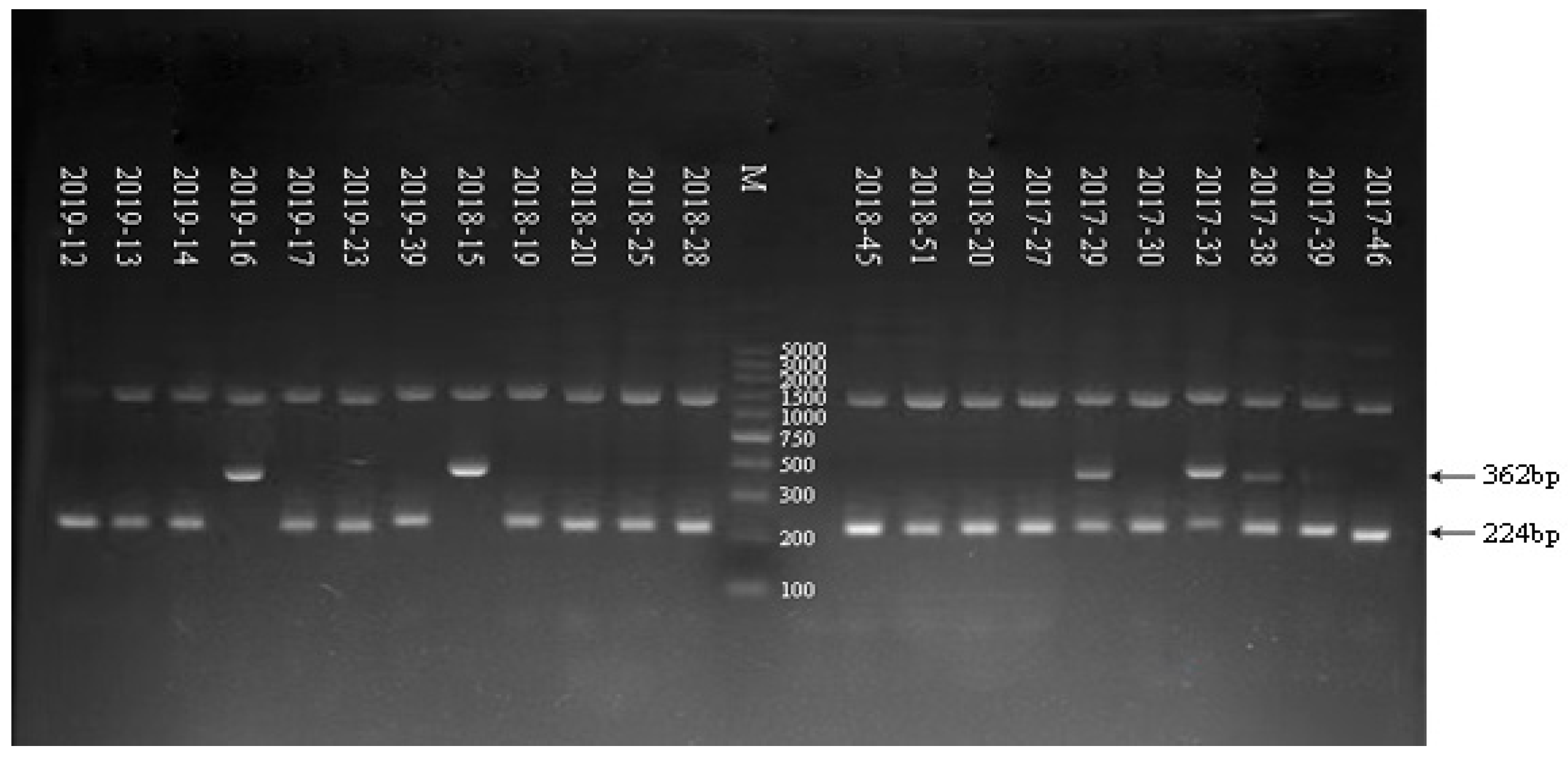 Tropicalmed 08 00101 g002 550