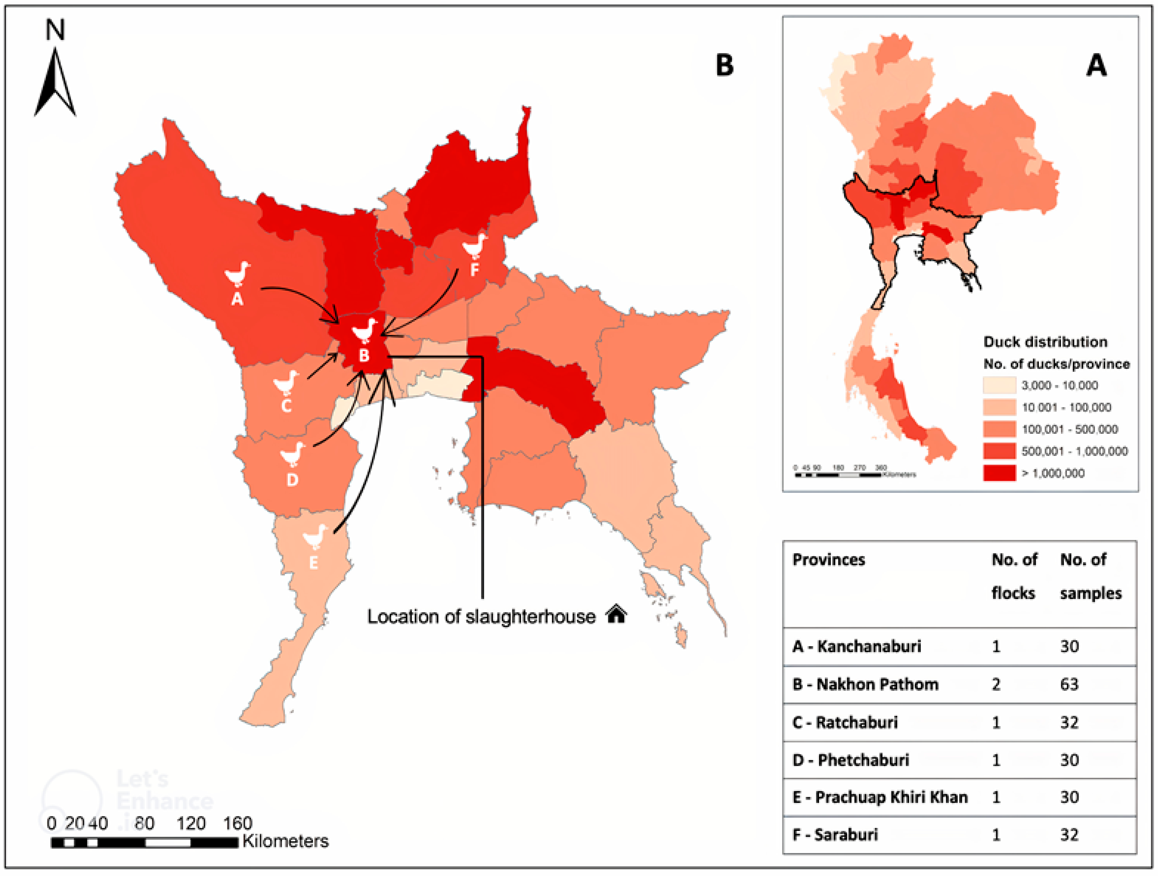 Tropicalmed 08 00103 g001 Tropicalmed 08 00103 g001