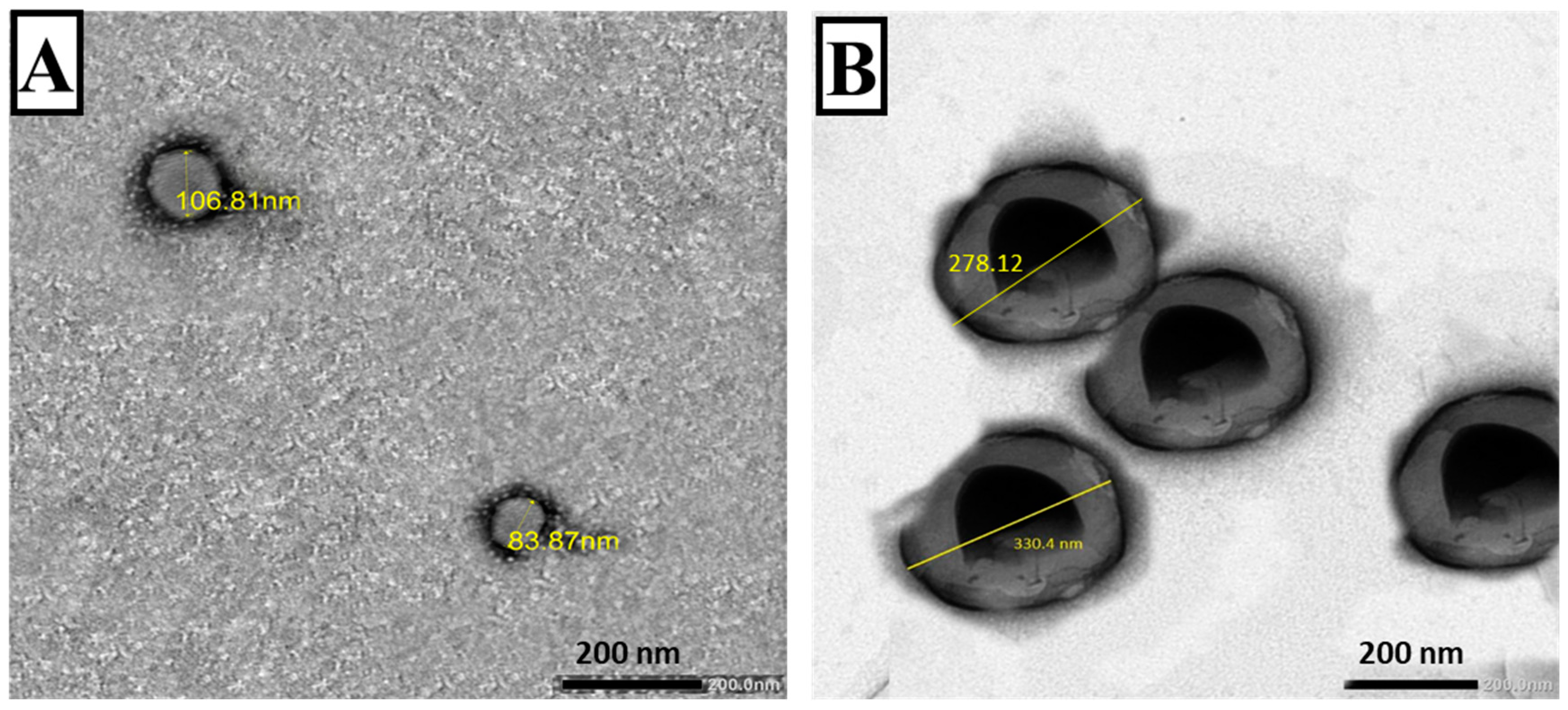 Tropicalmed 08 00106 g002 Tropicalmed 08 00106 g002
