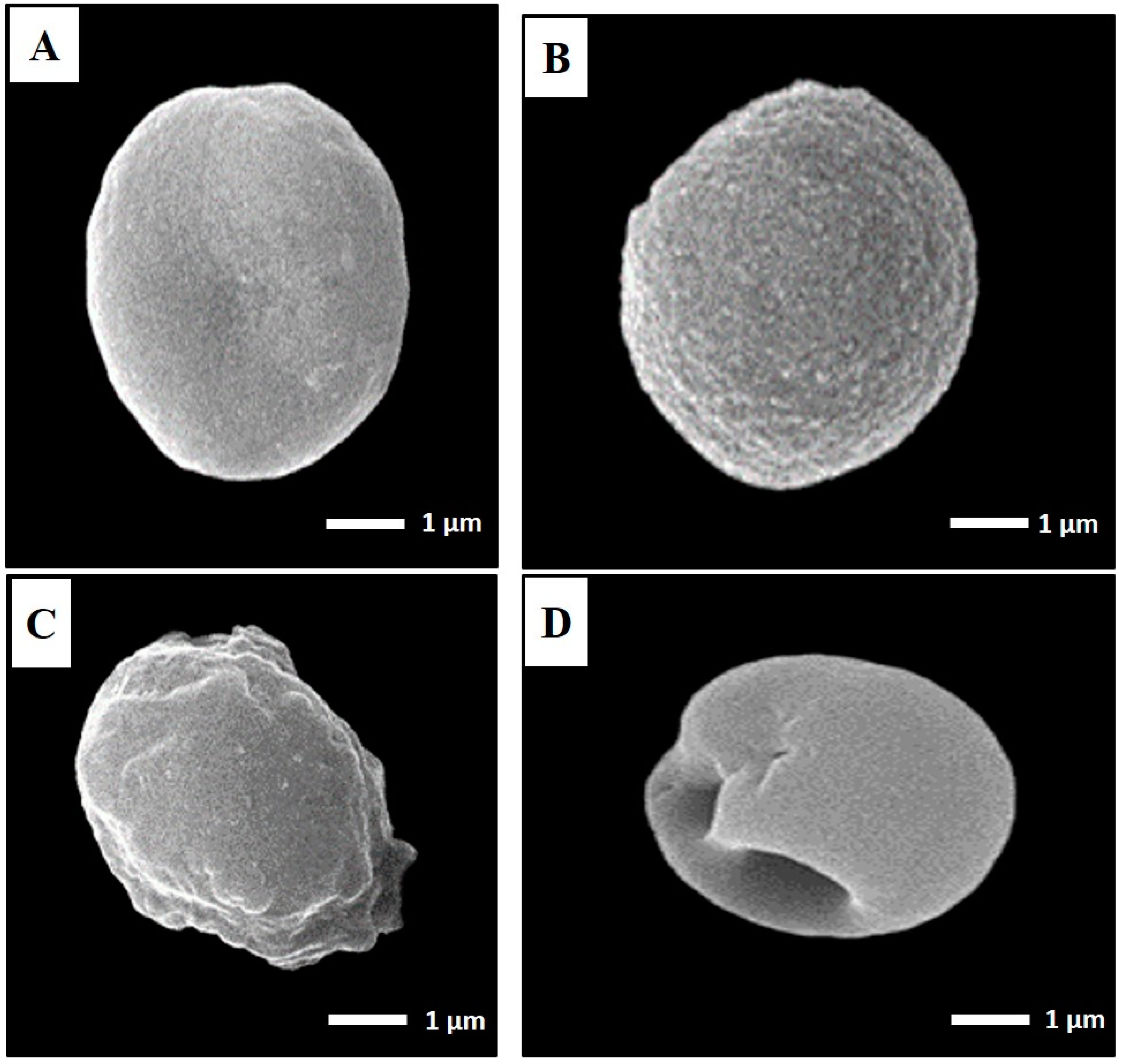 Tropicalmed 08 00106 g005 Tropicalmed 08 00106 g005