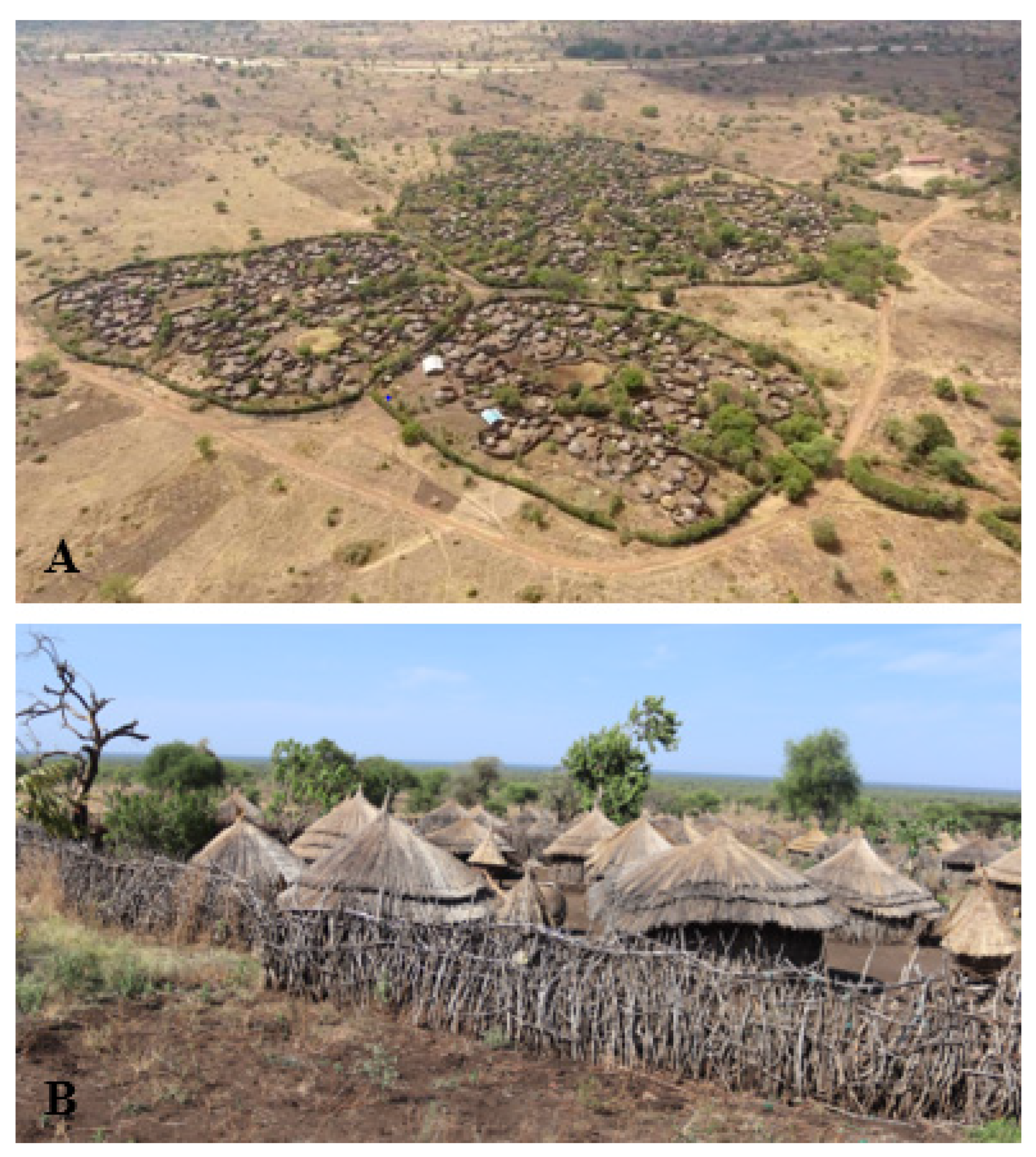 Tropicalmed 08 00111 g002 Tropicalmed 08 00111 g002