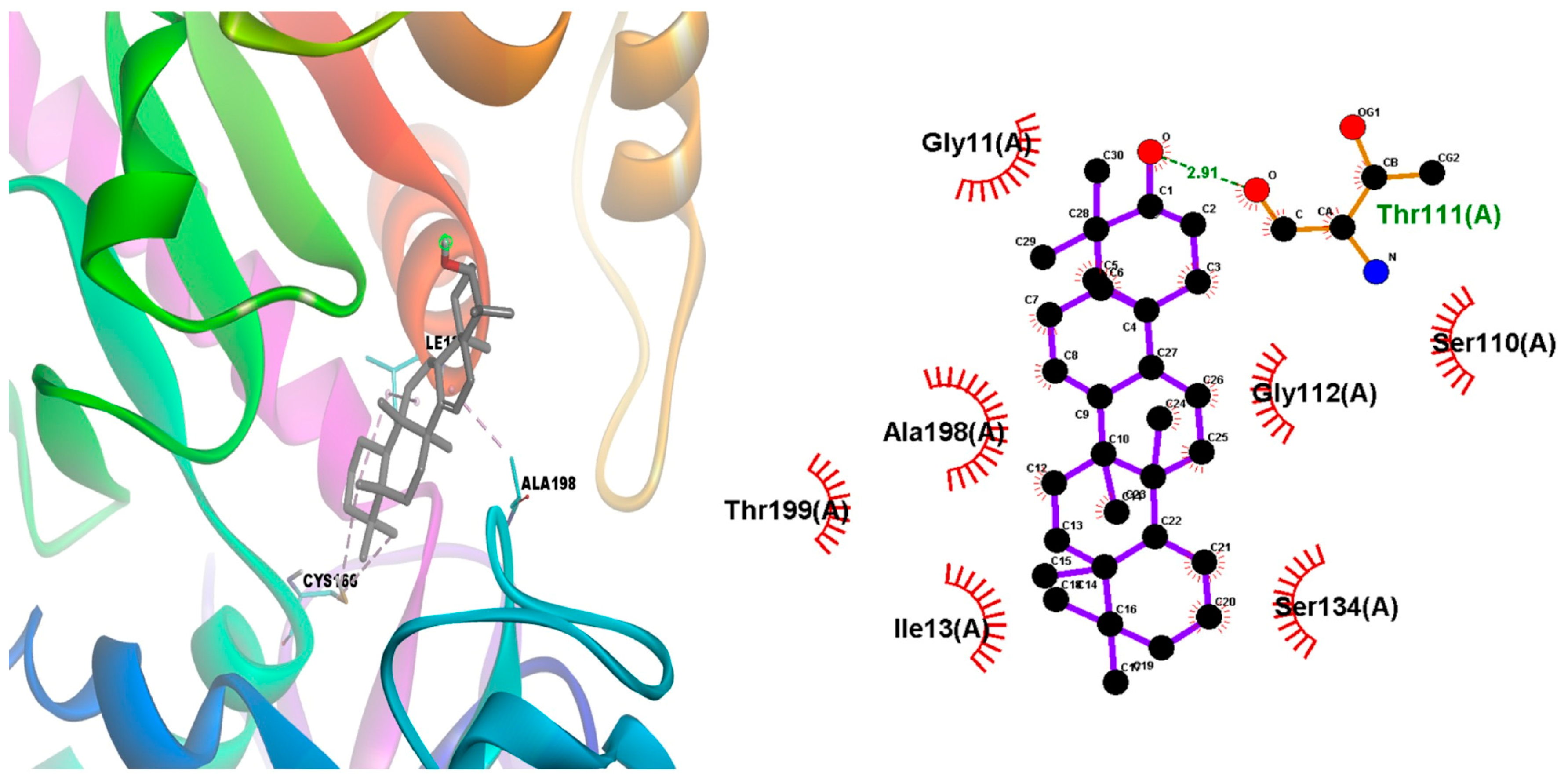 Tropicalmed 08 00115 g004