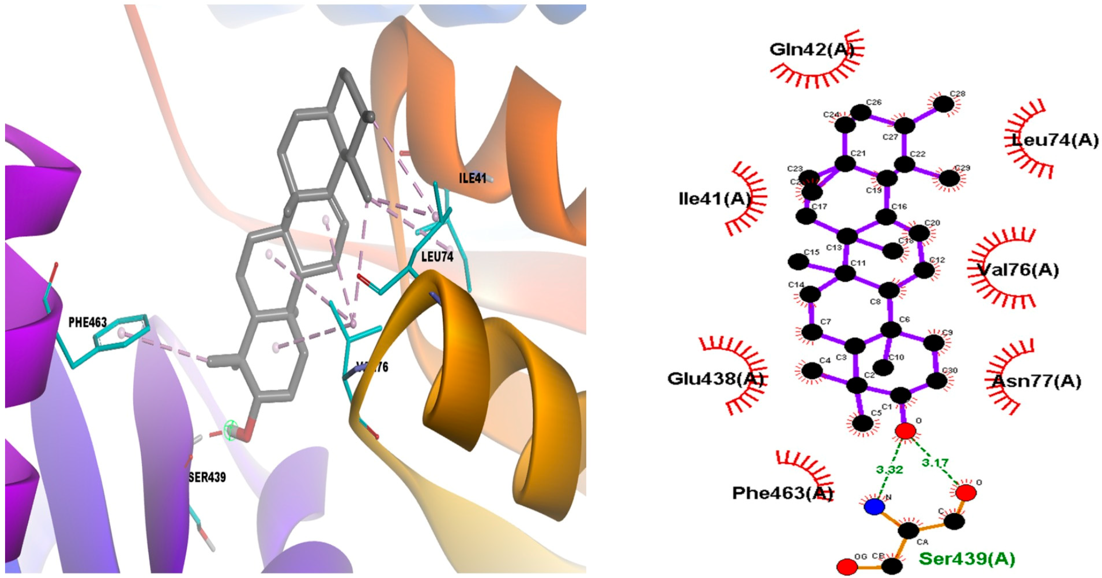 Tropicalmed 08 00115 g006